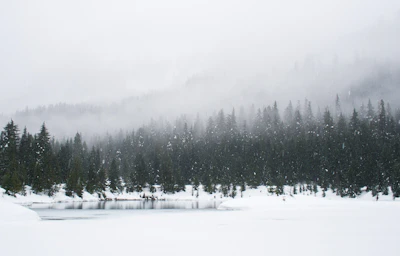 December