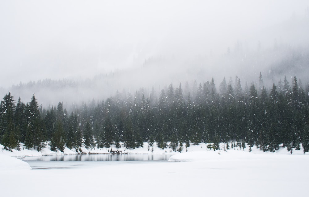 Hình nền tuyết là một chủ đề rất ấn tượng để thưởng thức. Những khung cảnh của nó là tuyệt đẹp và khiến cho bạn cảm thấy như đang đứng giữa các dãy núi phủ đầy tuyết trắng, tất cả những gì bạn cần làm là ngắm nhìn và thưởng thức. Nhấp vào hình ảnh để truyền cảm hứng cho bạn.