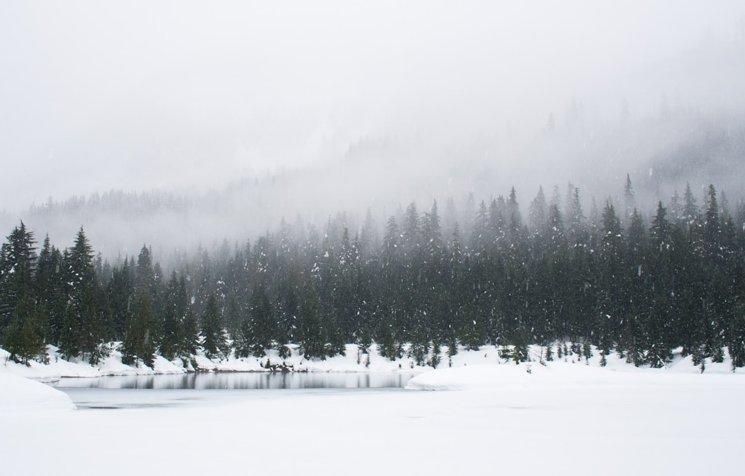Brrr! How Winter Weather Could Chill COVID Travel Reopenings - Canc… — Brrr! How Winter Weather Could Chill