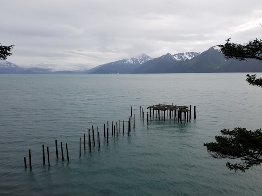 brown wooden dock on sea during daytime in Alaska United States