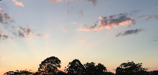A serene sky at dusk with soft clouds glowing in warm light.