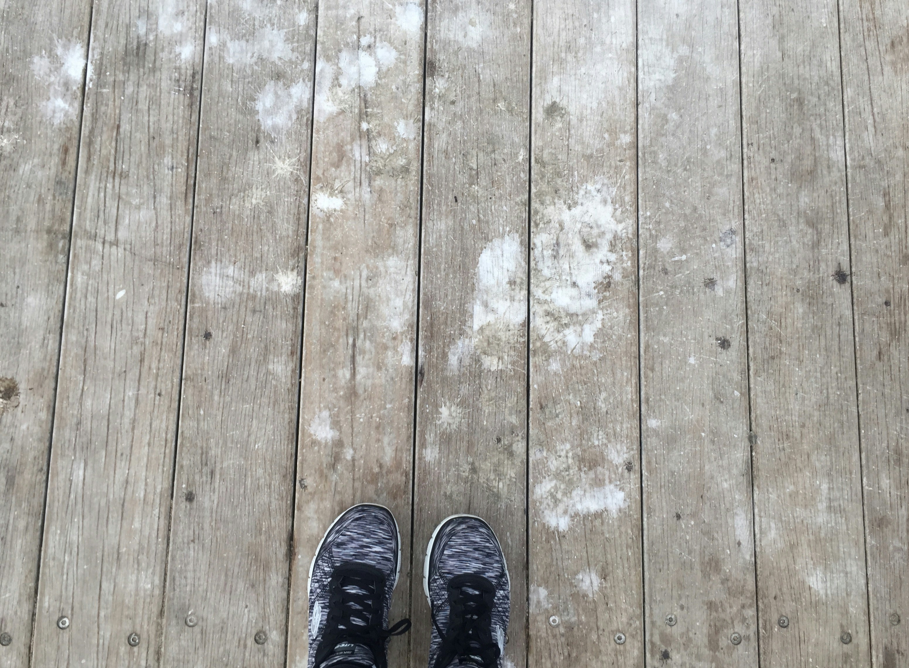 Free Unsplash photo from Aria H