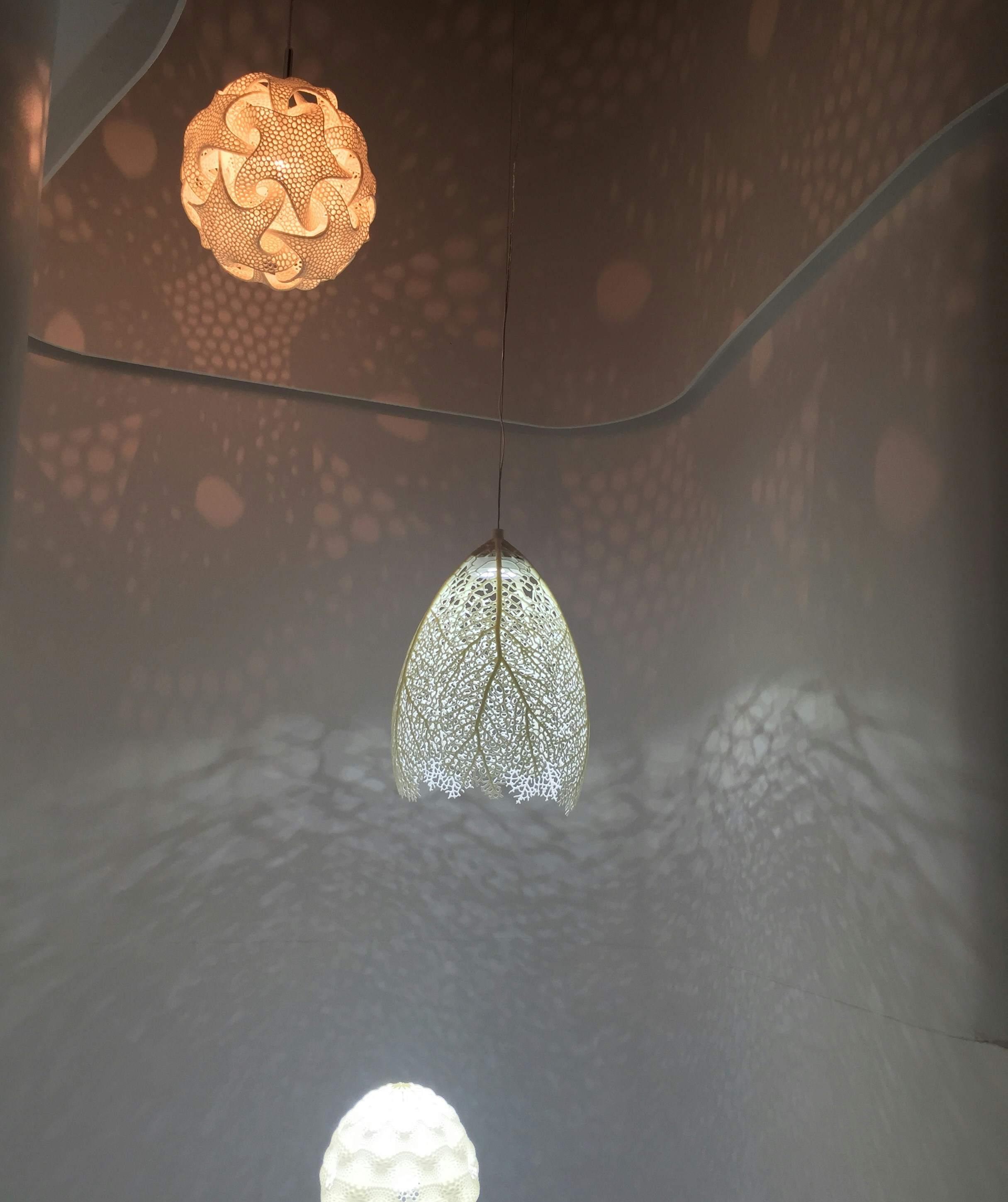 Free Unsplash photo from Aria H