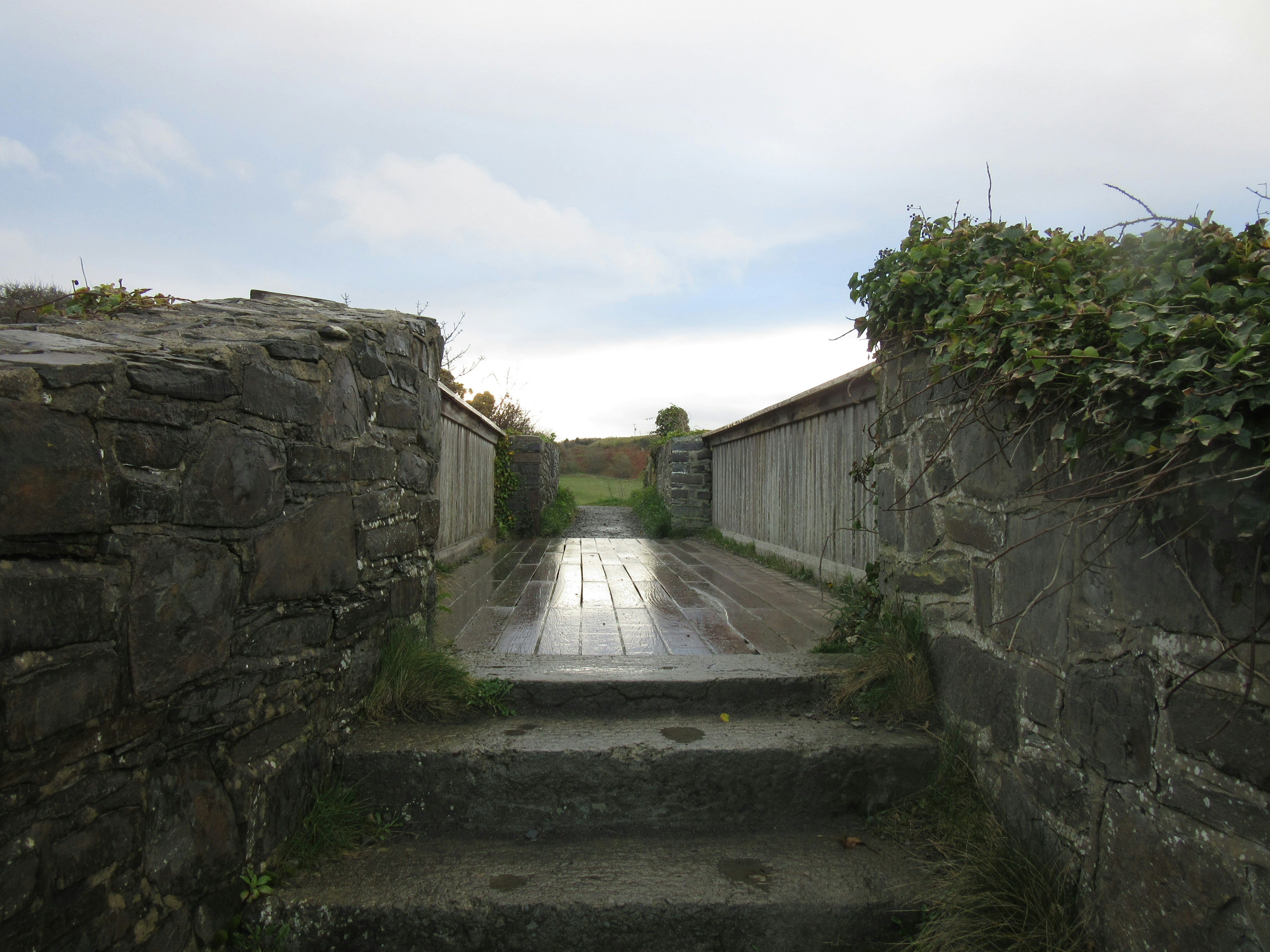 Free Unsplash photo from Rachel Arthur