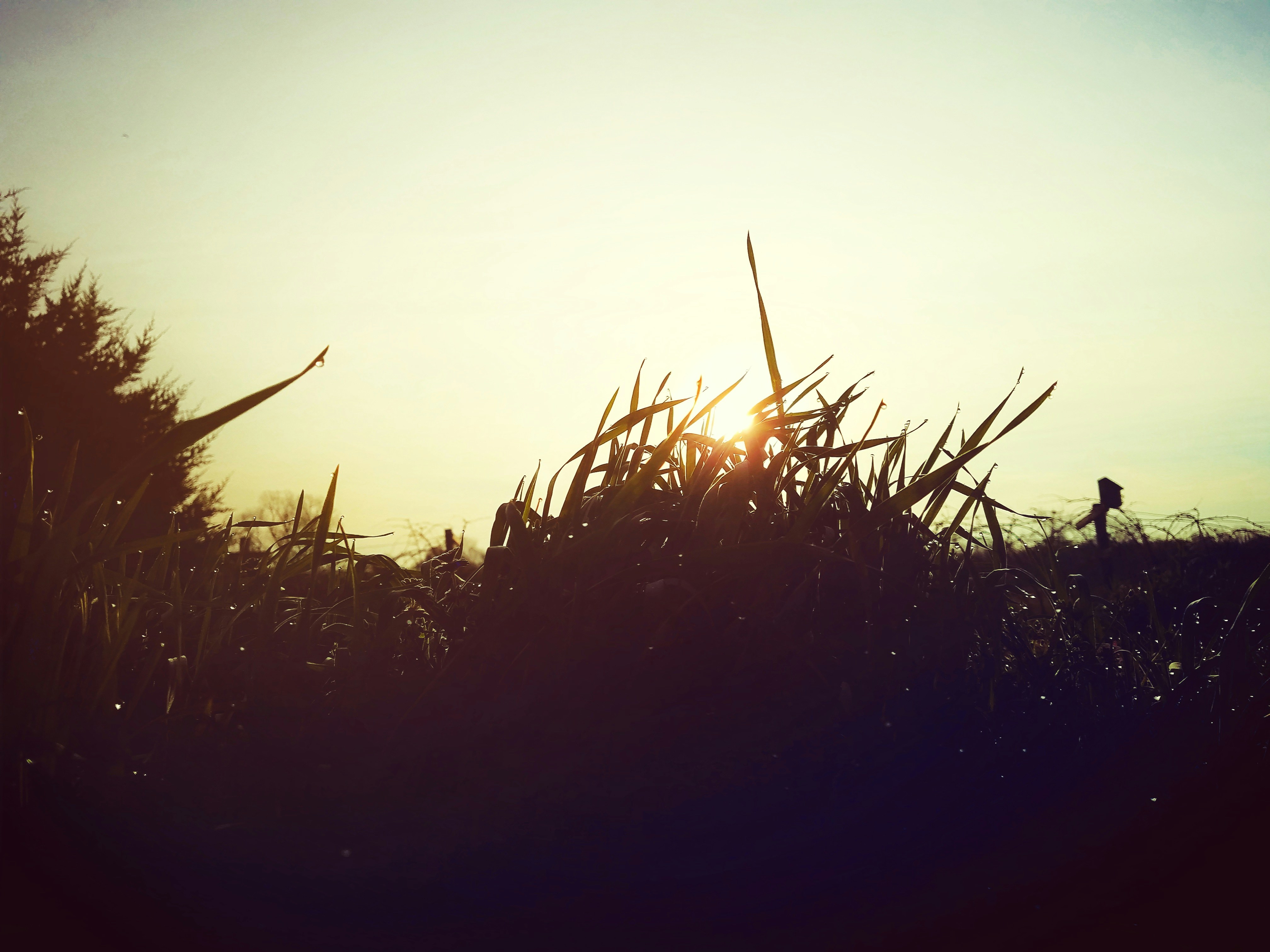 Free Unsplash photo from Craig Anderson