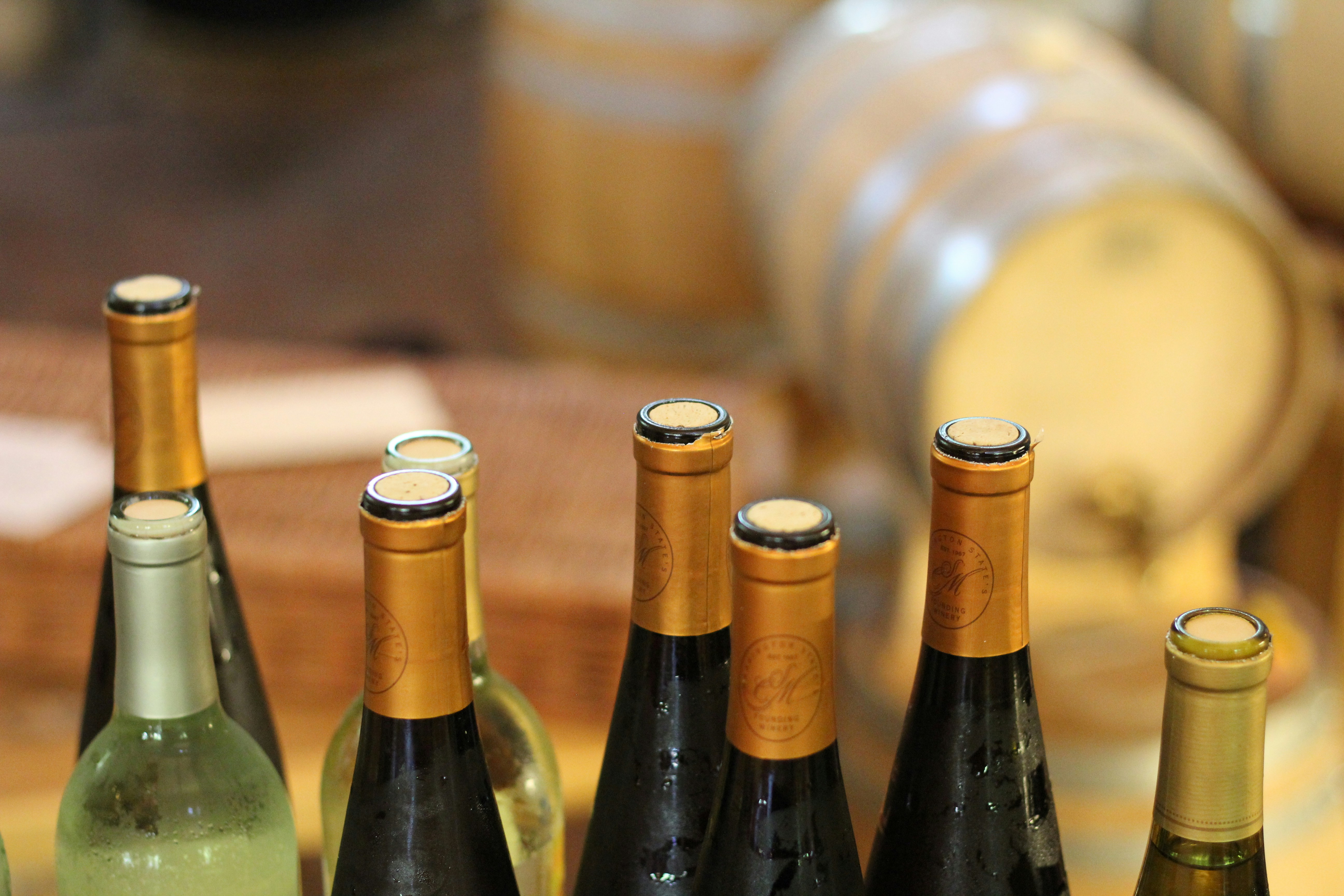 Free Unsplash photo from Kelley MacDonald