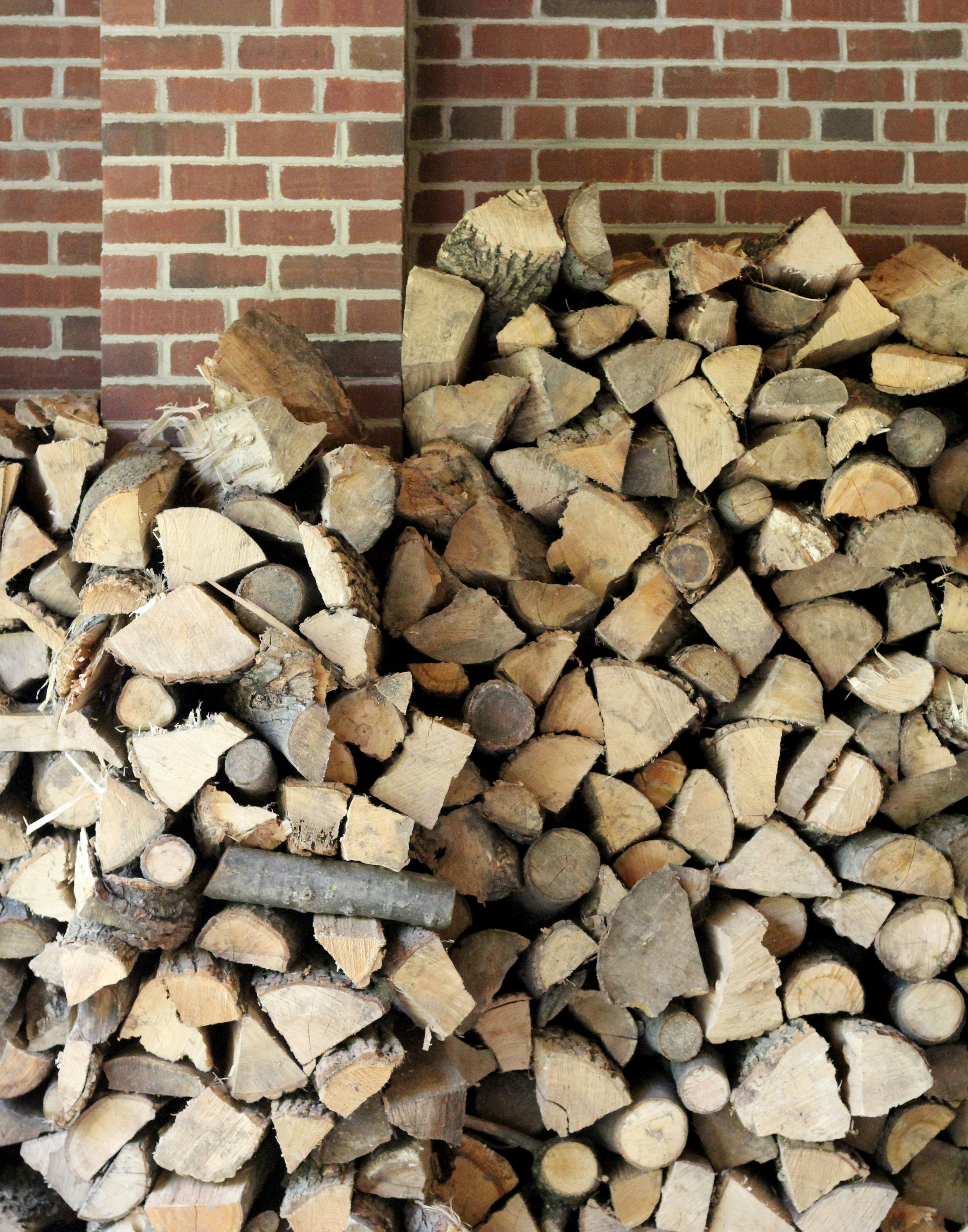 Free Unsplash photo from Kelley MacDonald