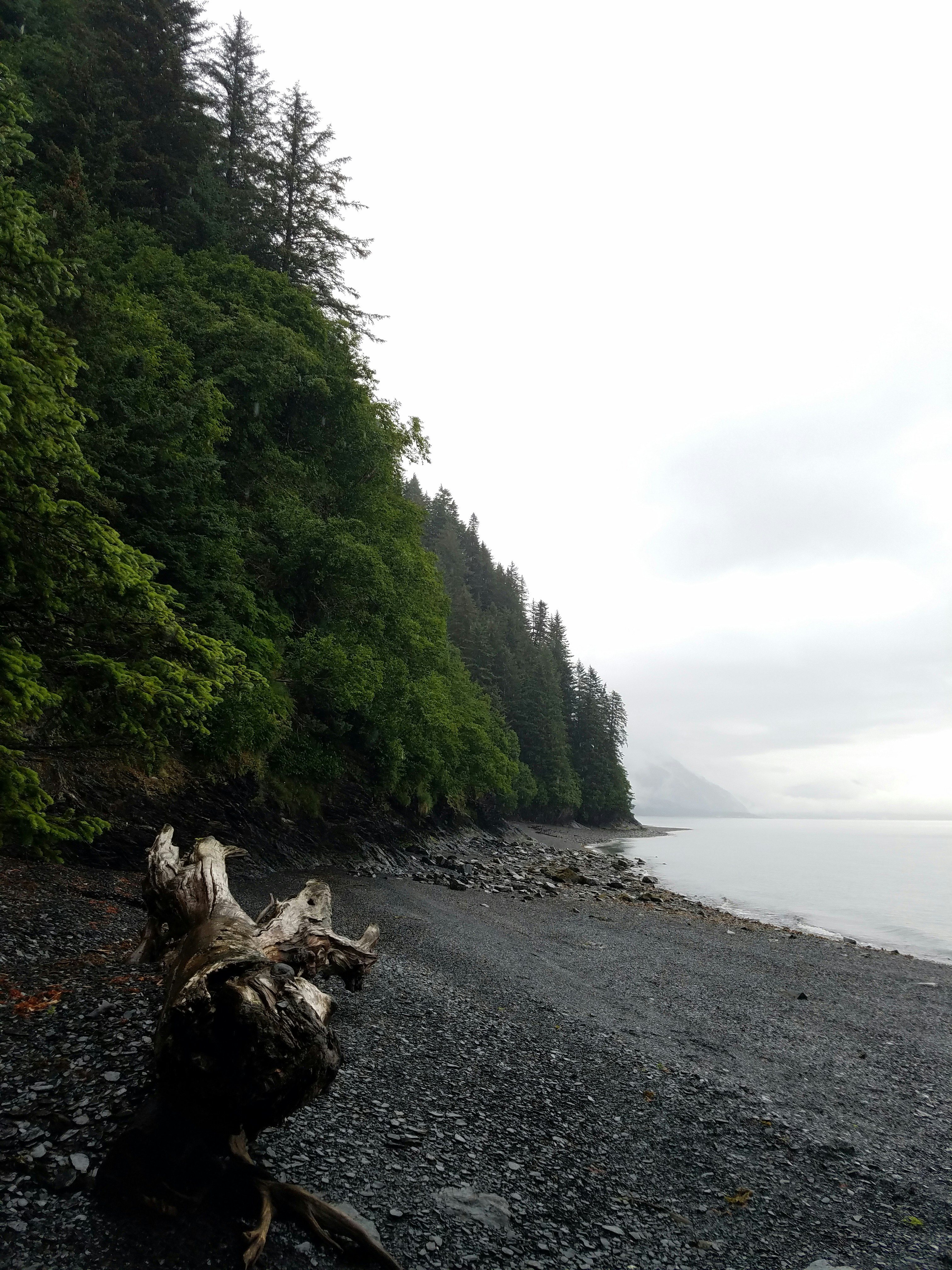 Photo by elijahdhiett