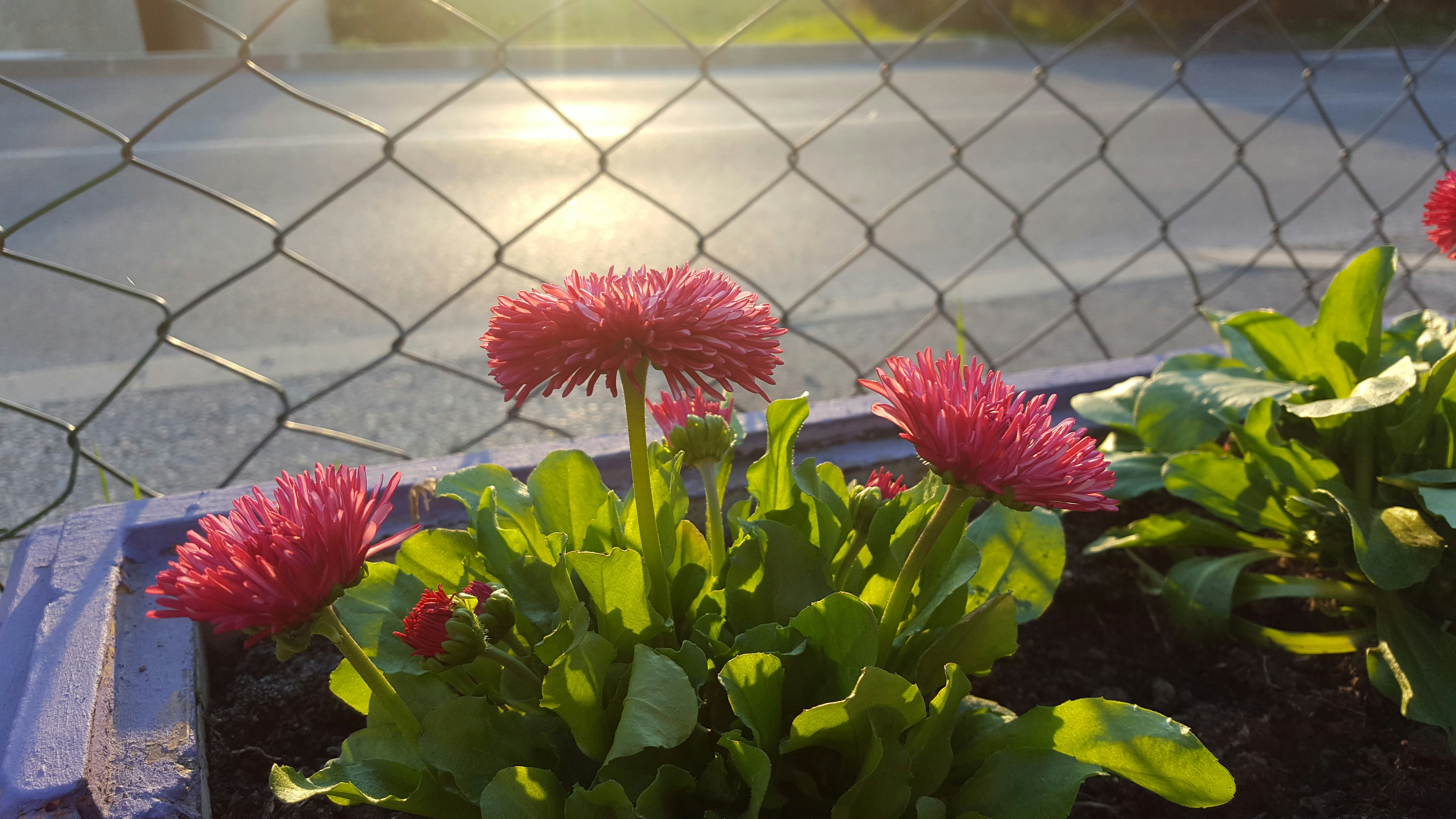 Free Unsplash photo from Martin Oslic