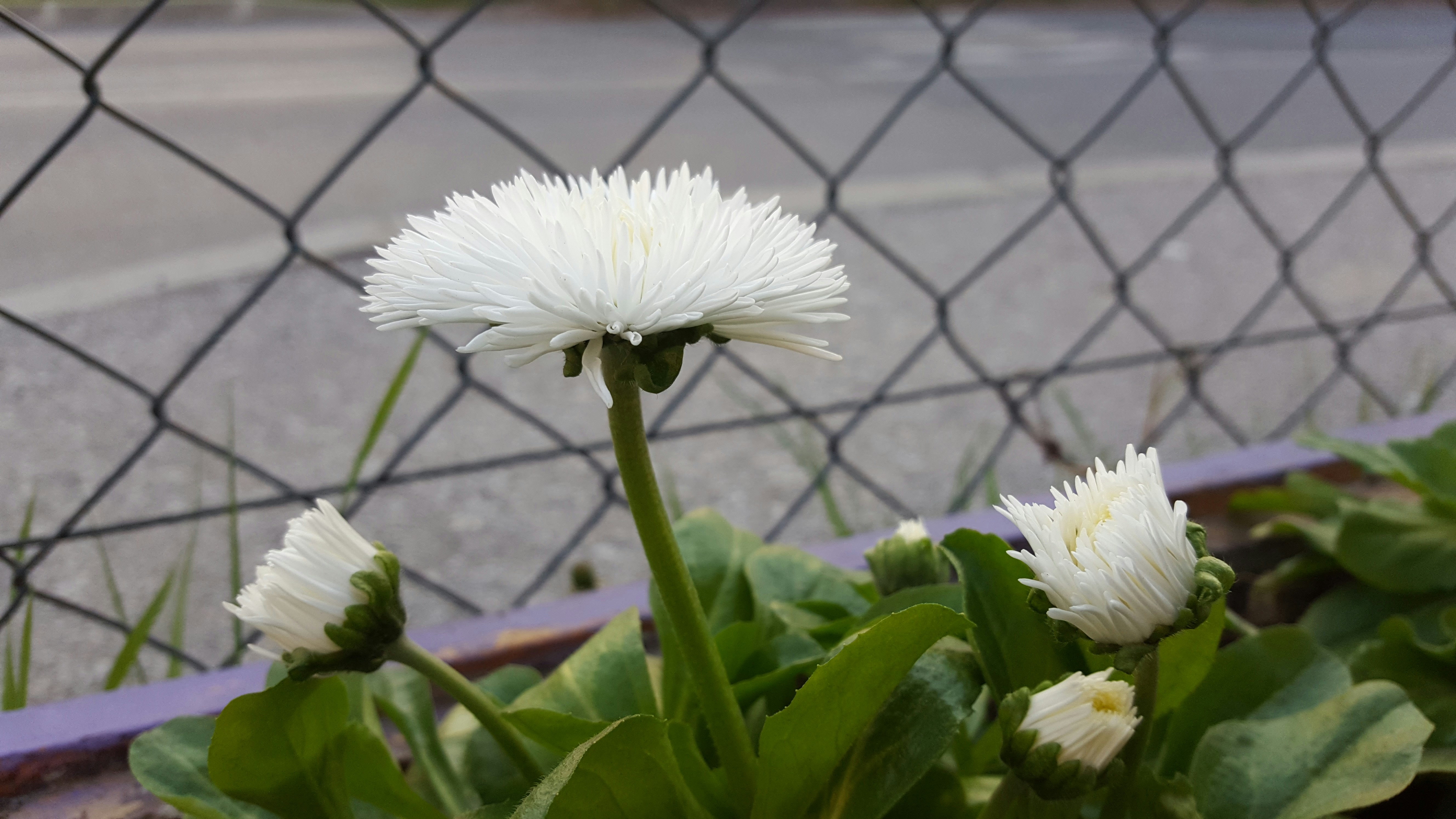 Free Unsplash photo from Martin Oslic