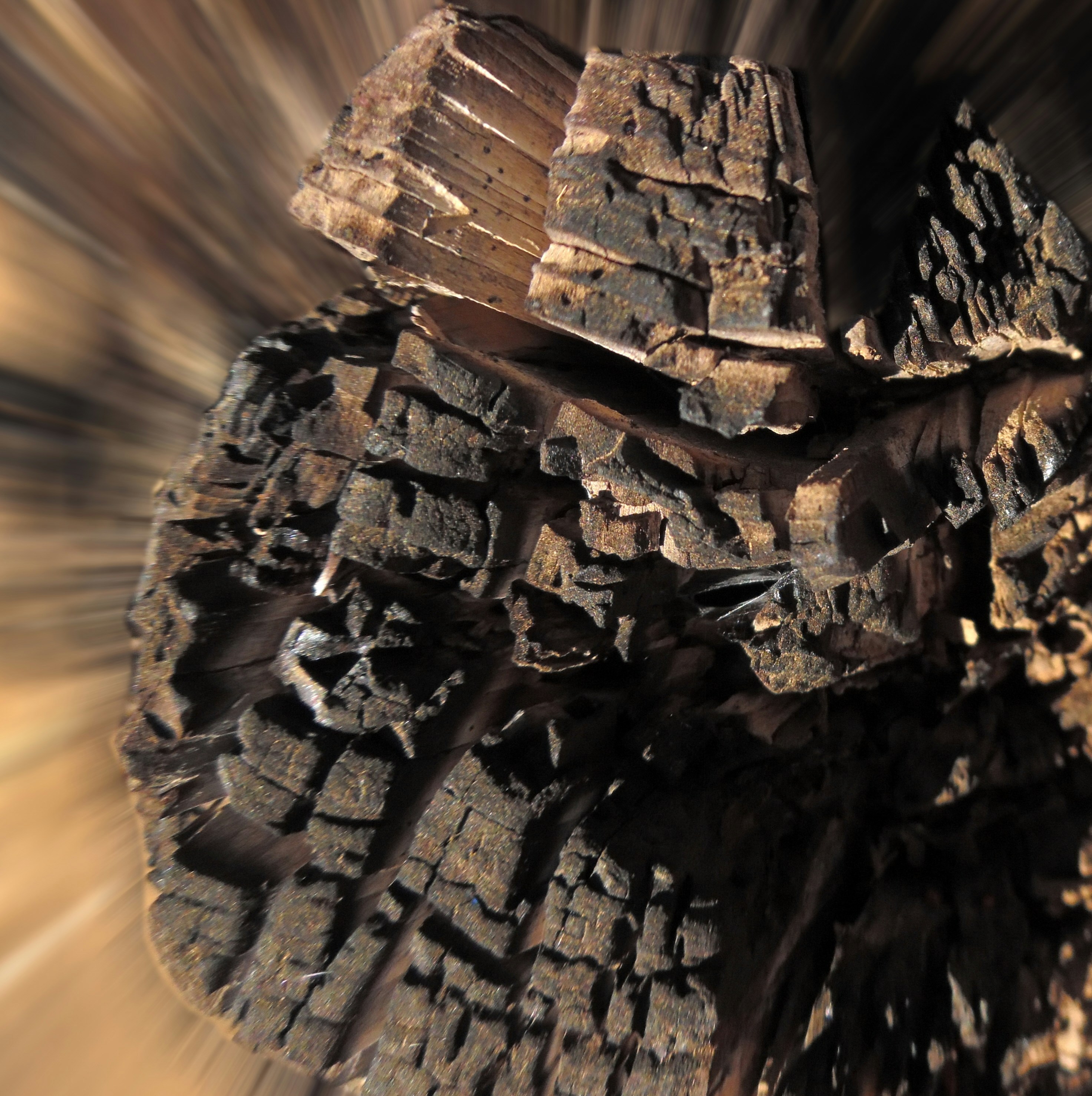 Free Unsplash photo from David Lorenz