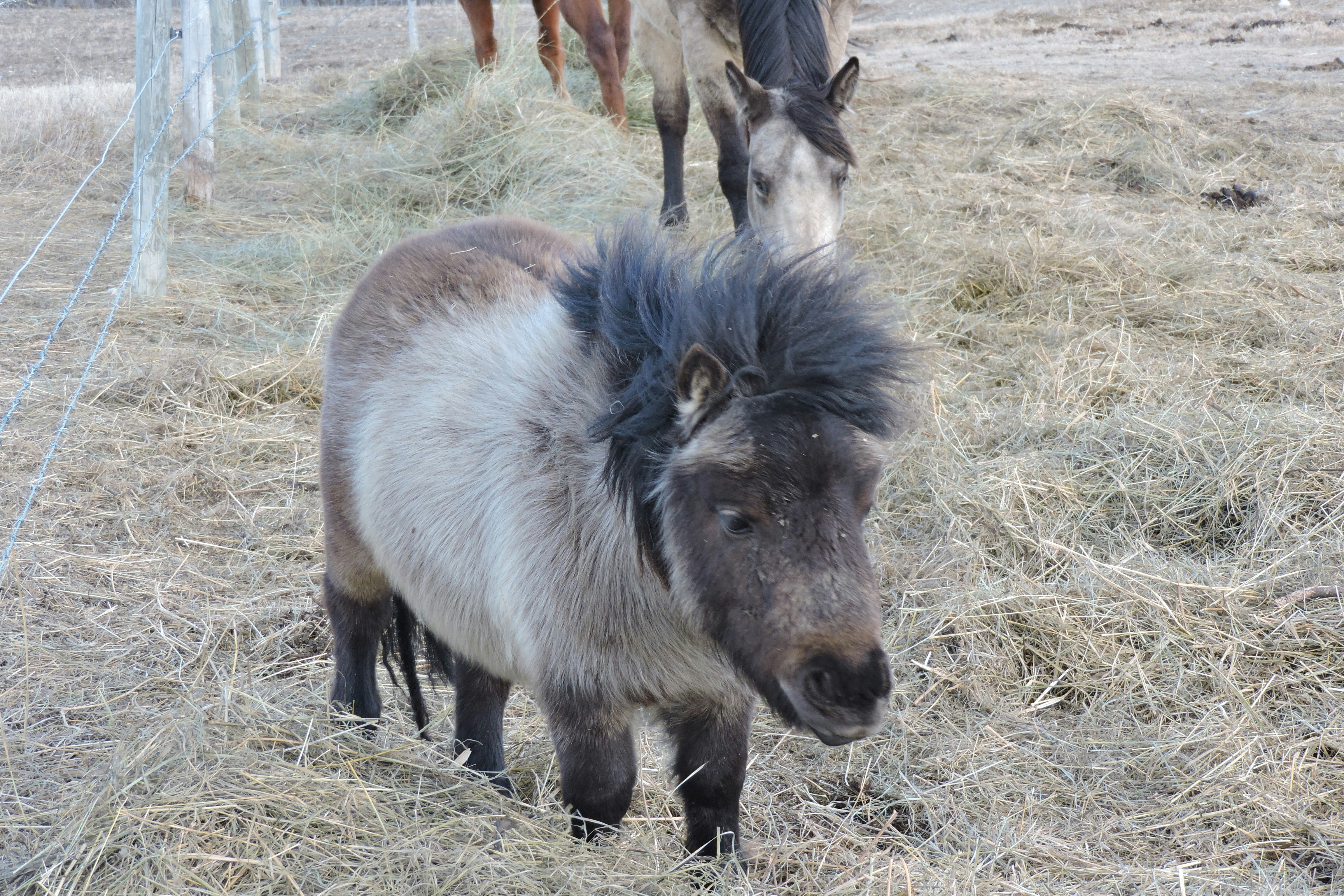 Free Unsplash photo from Lois Maeland