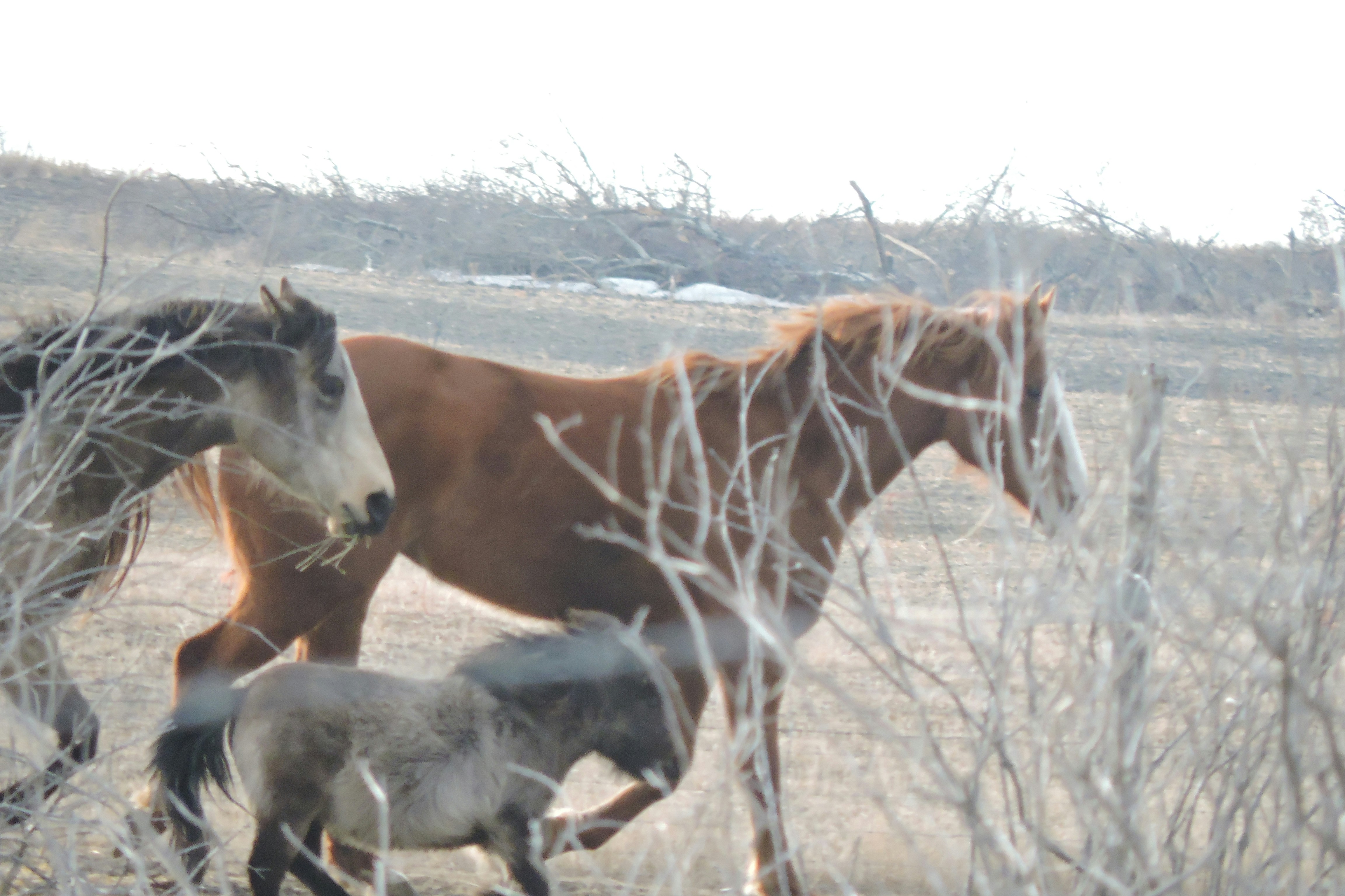 Free Unsplash photo from Lois Maeland