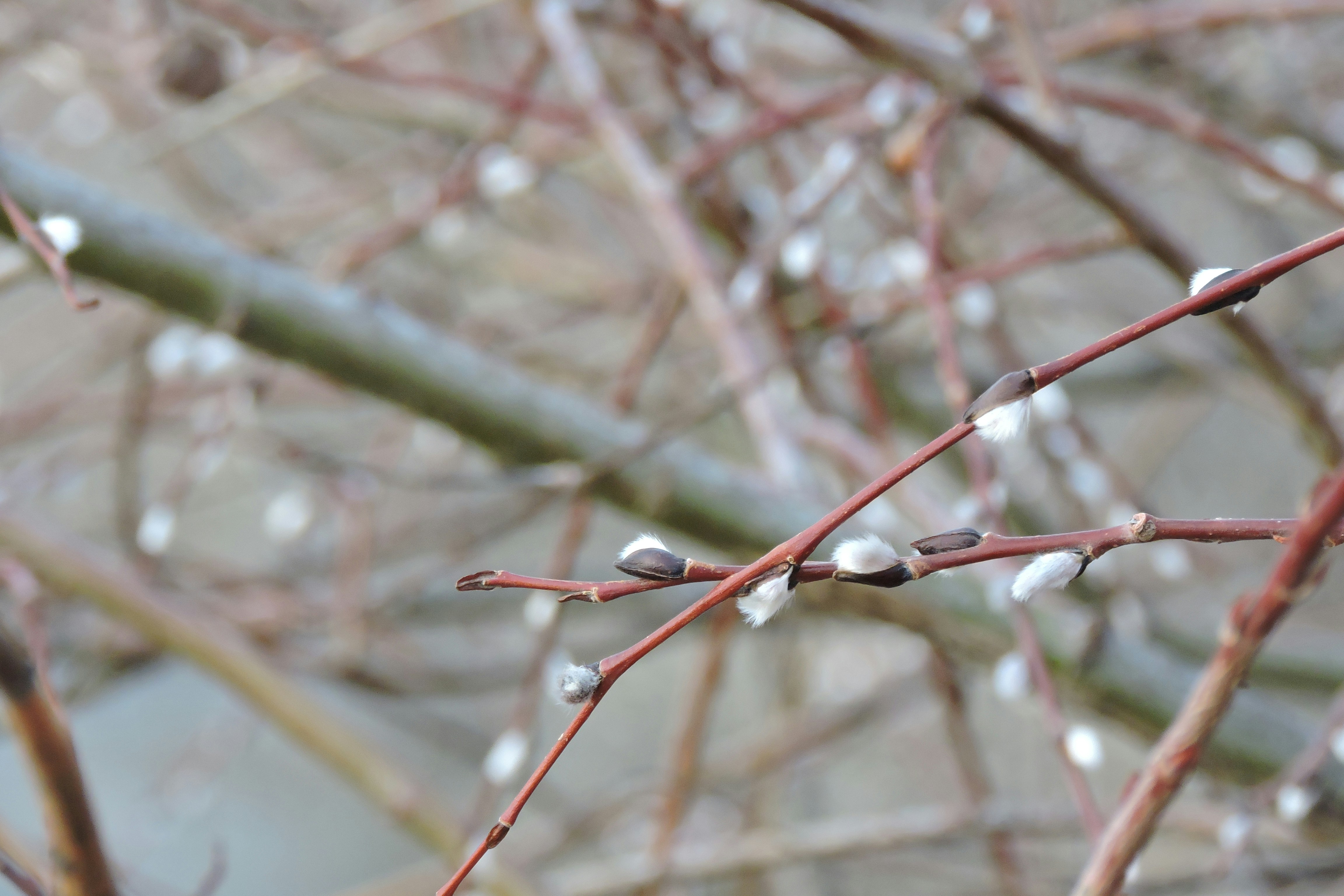 Free Unsplash photo from Lois Maeland