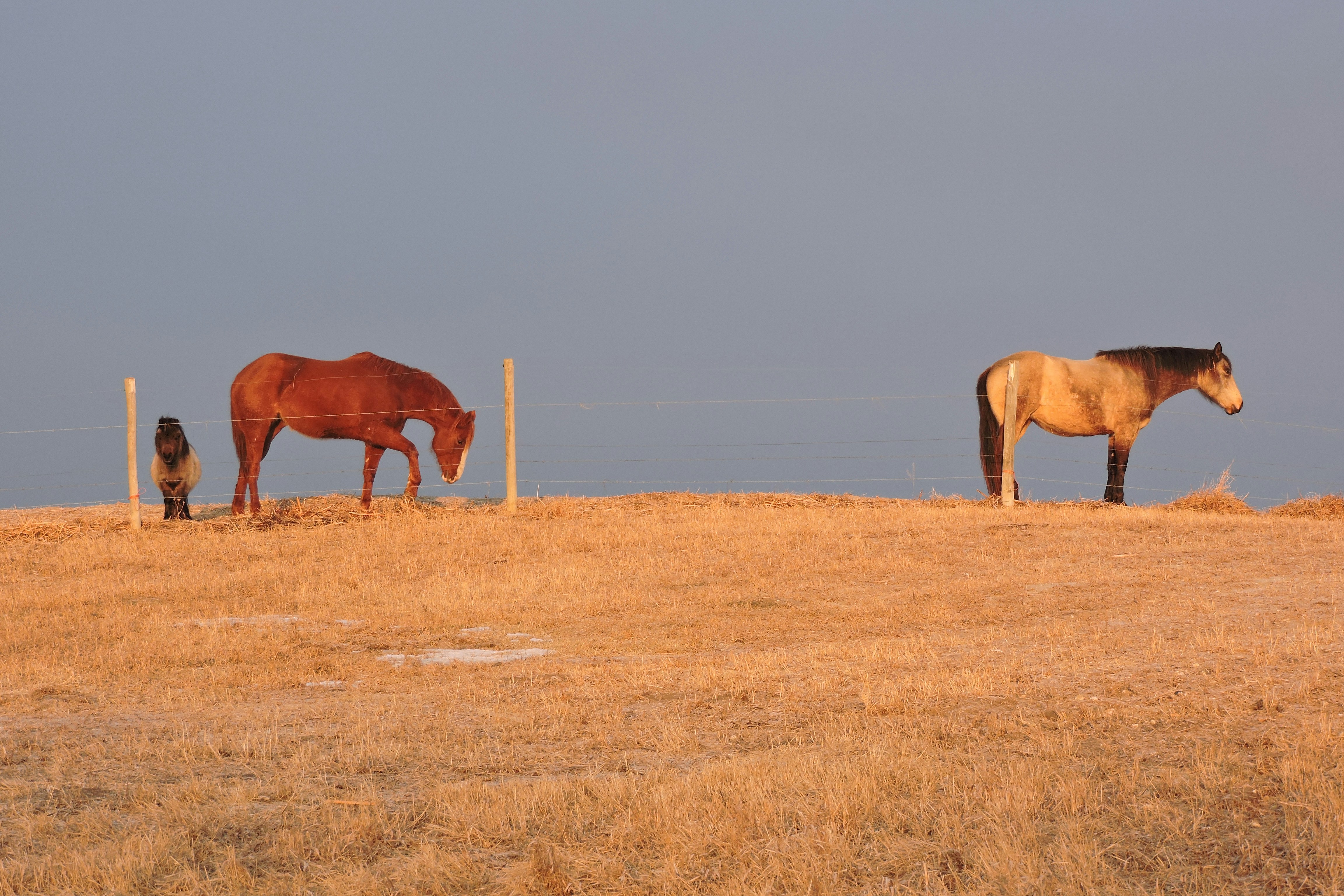 Free Unsplash photo from Lois Maeland