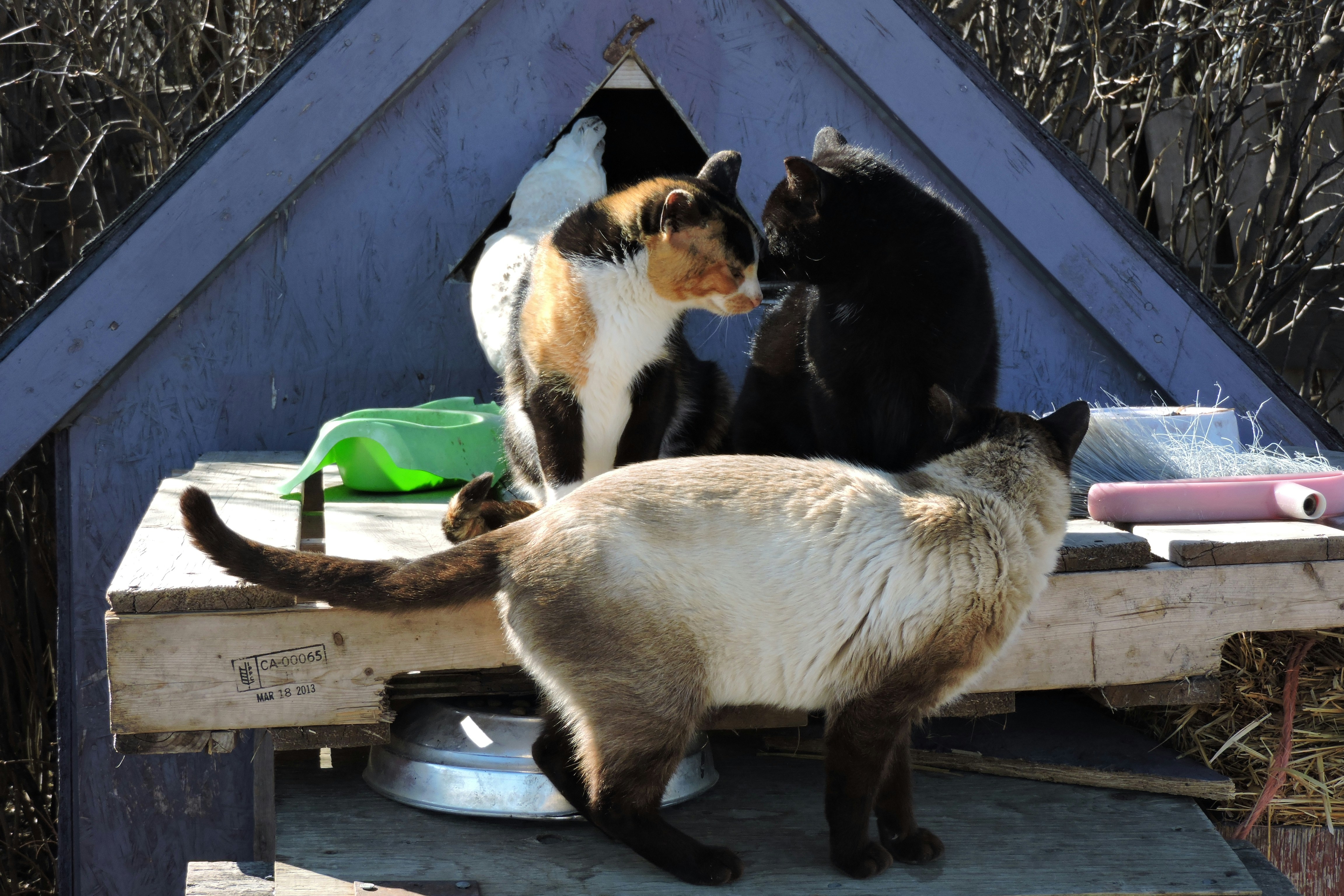 Free Unsplash photo from Lois Maeland