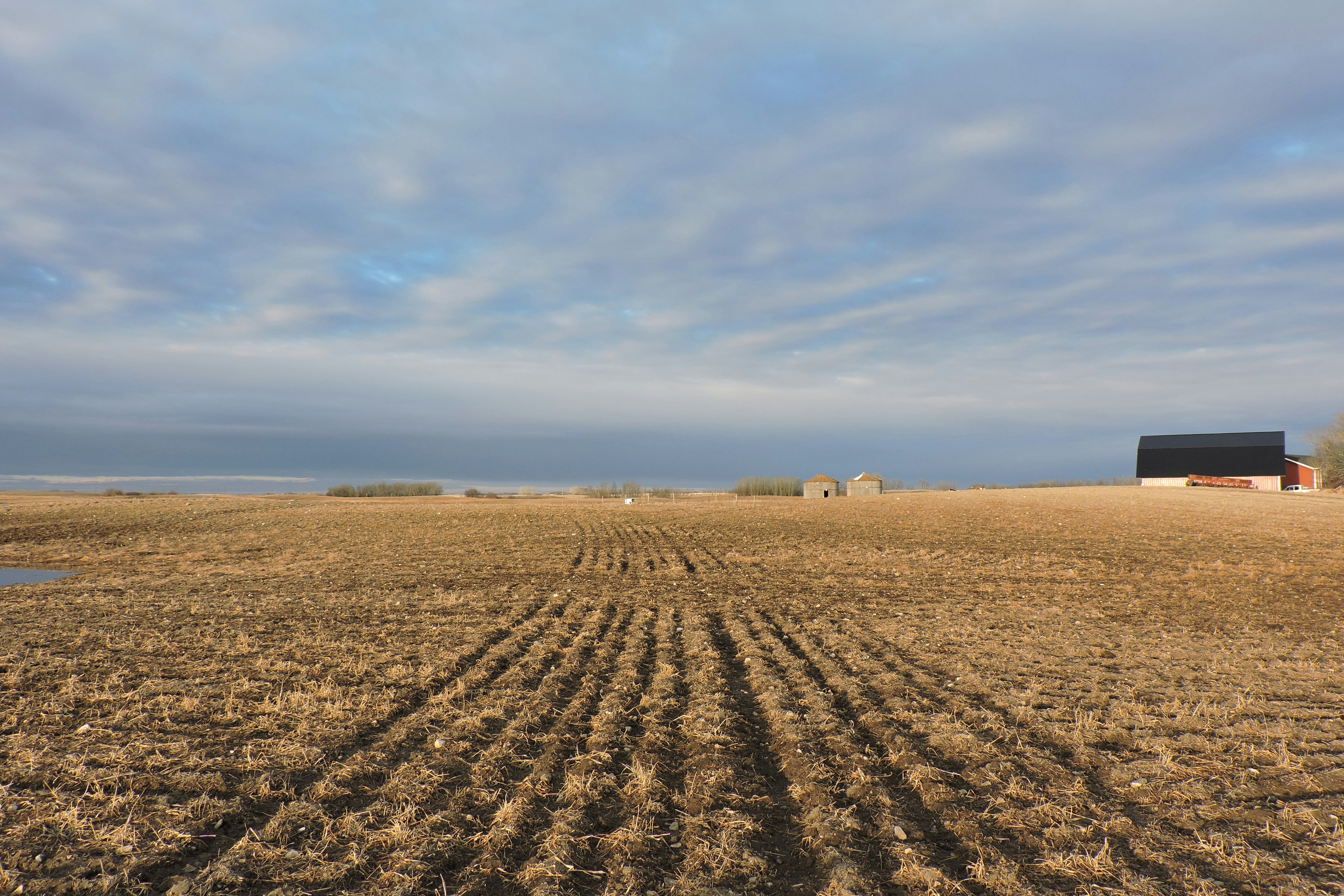 Free Unsplash photo from Lois Maeland