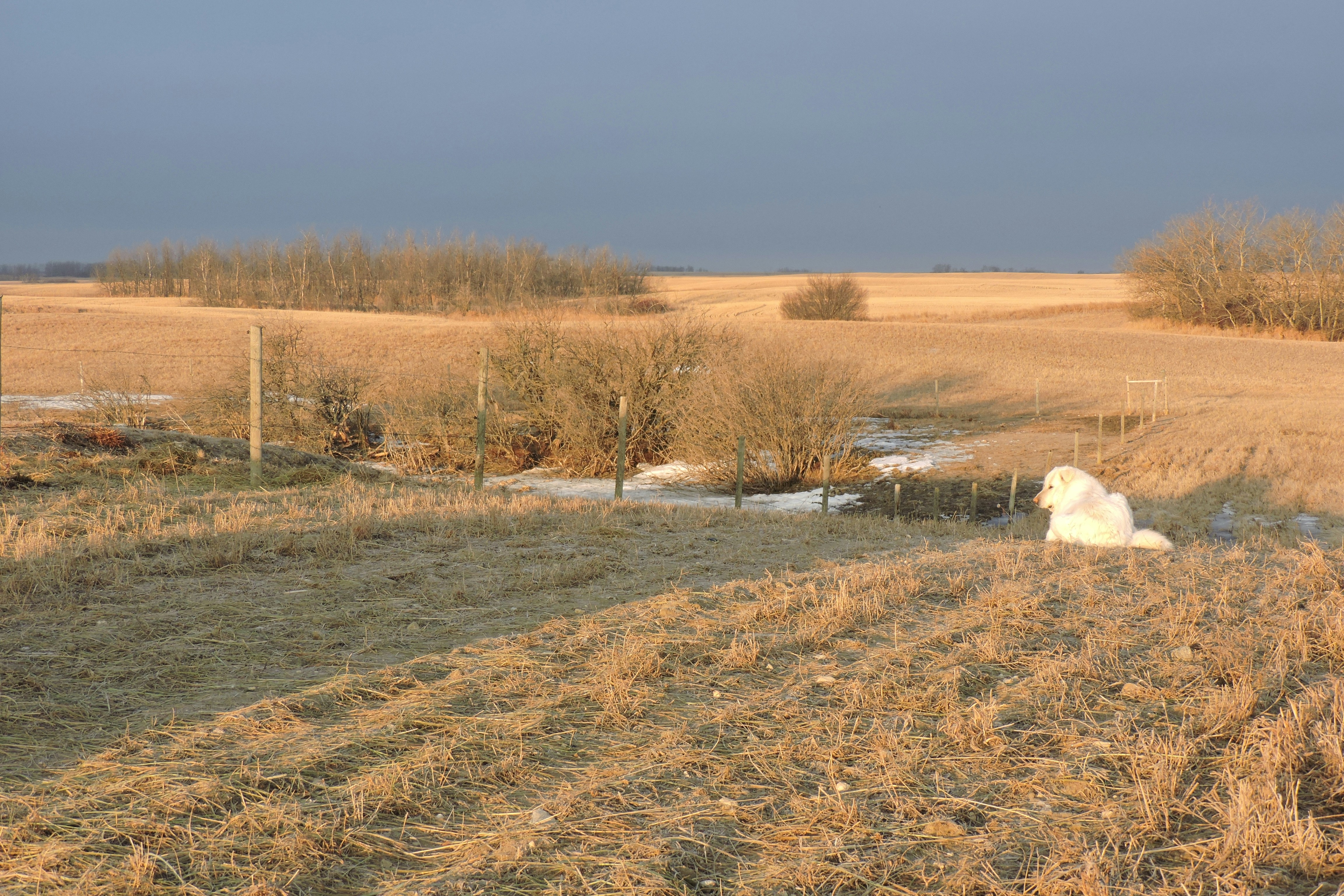 Free Unsplash photo from Lois Maeland