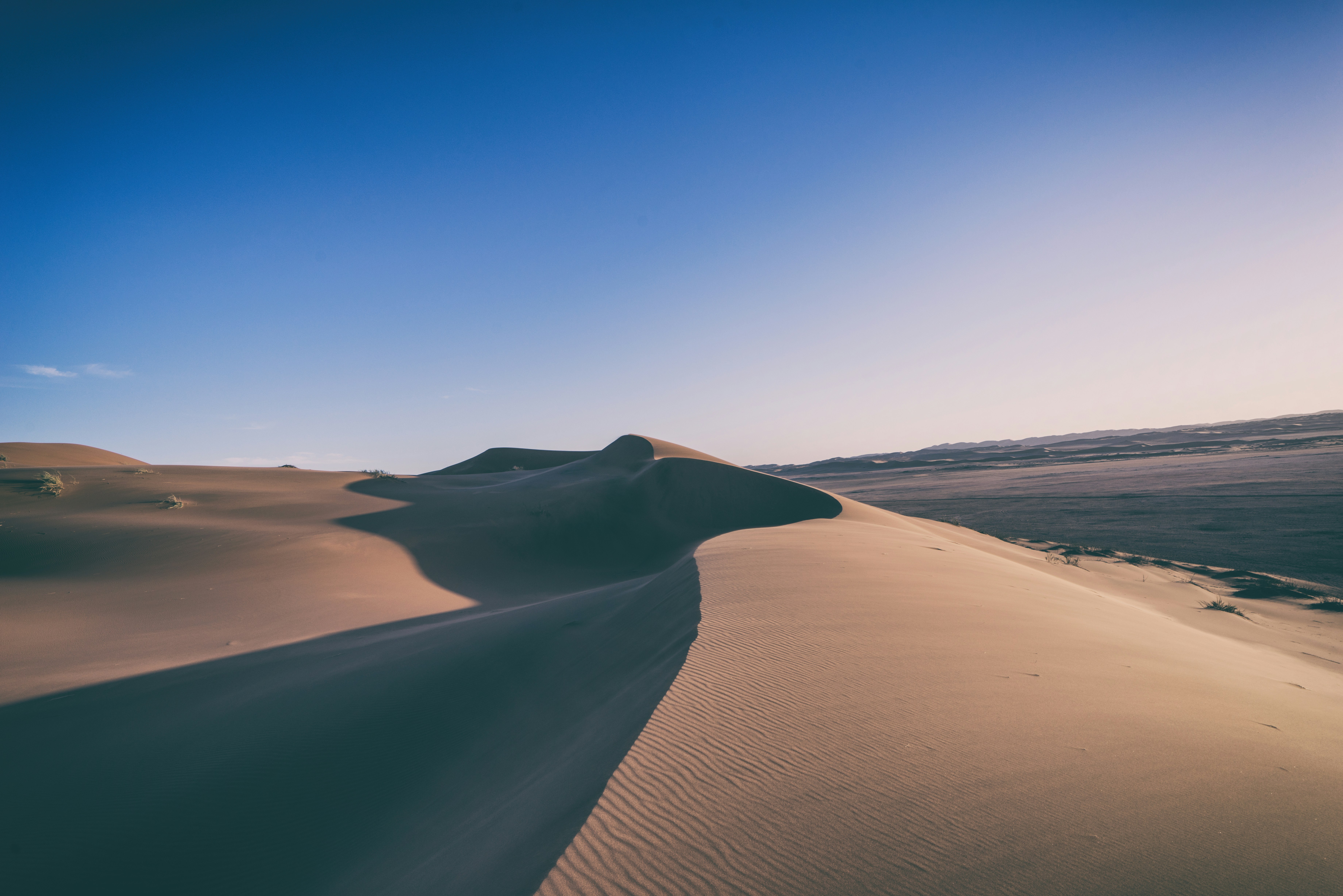 Stunning Desert Adventures