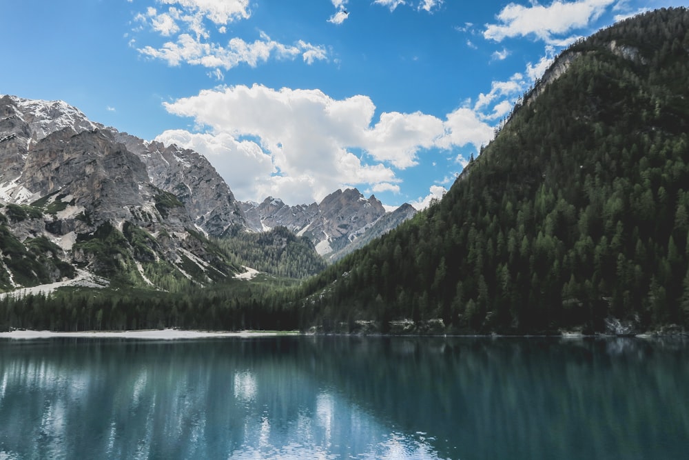 green trees near lake under blue sky during daytime