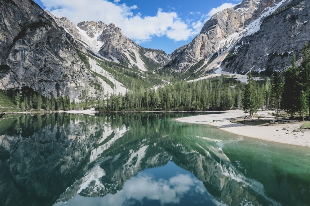 green trees near lake and mountains during daytime