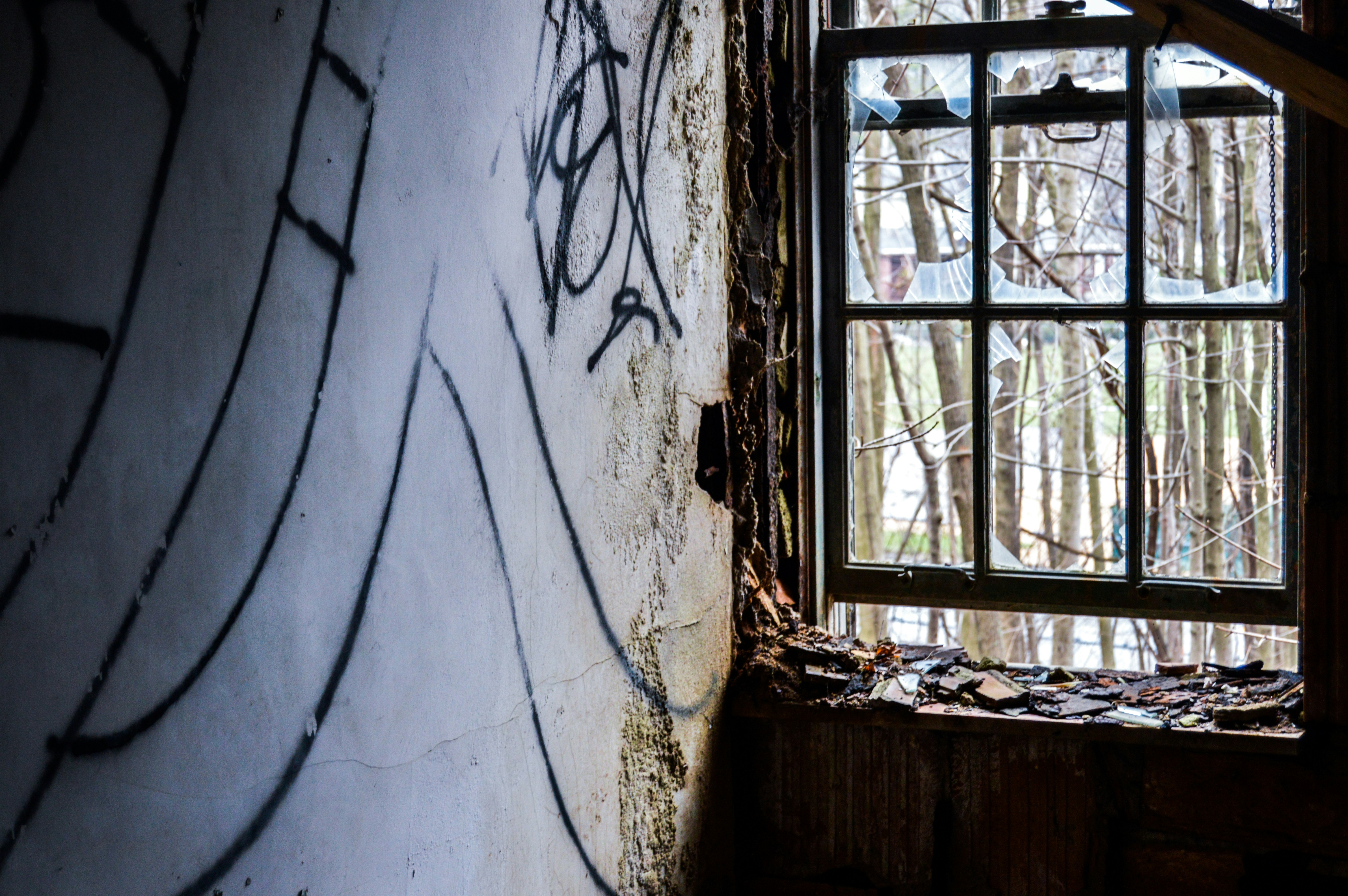 Free Unsplash photo from Tom Farina