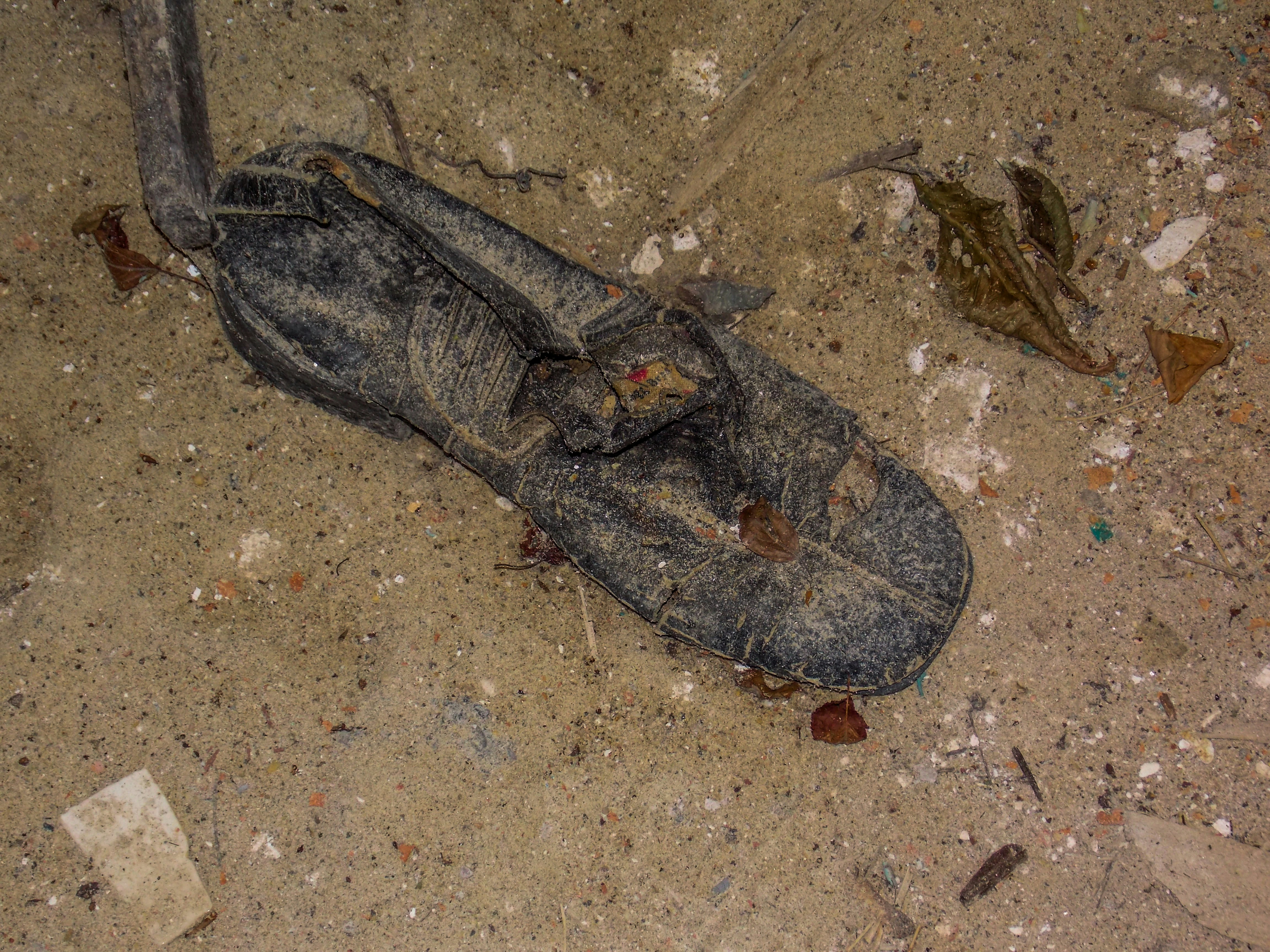 Free Unsplash photo from Tom Farina