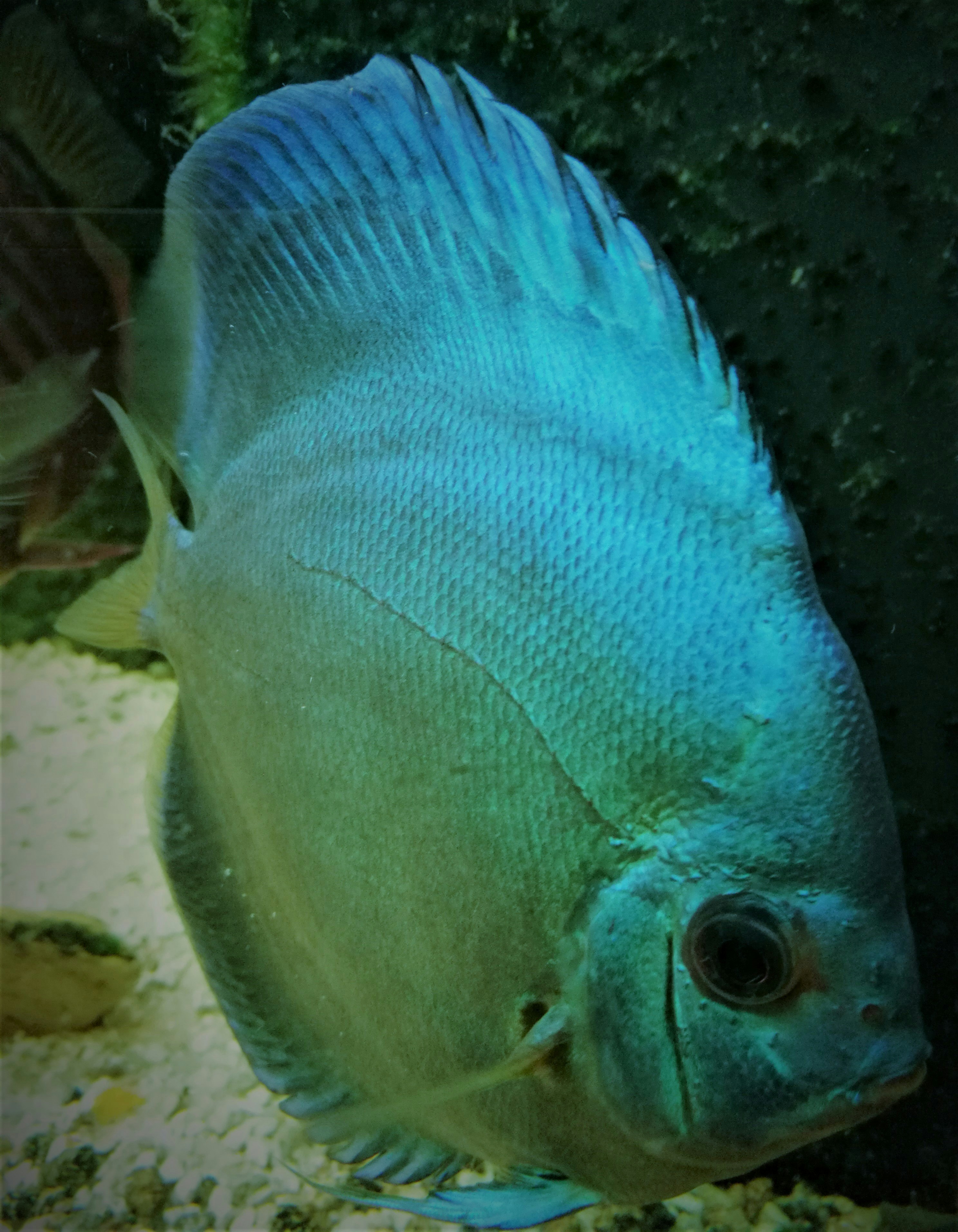 Free Unsplash photo from Medena Rosa