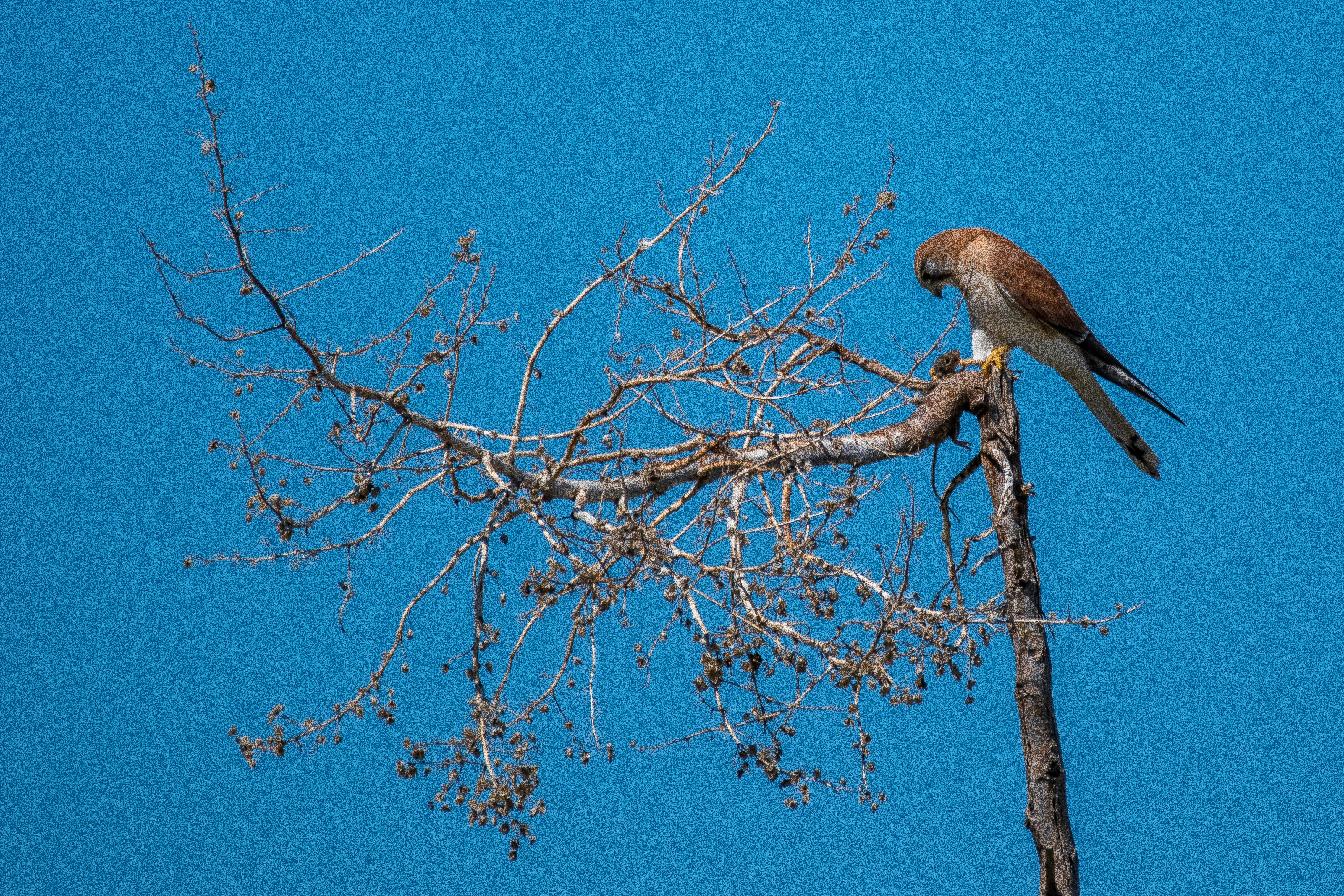 Free Unsplash photo from Mark Wright