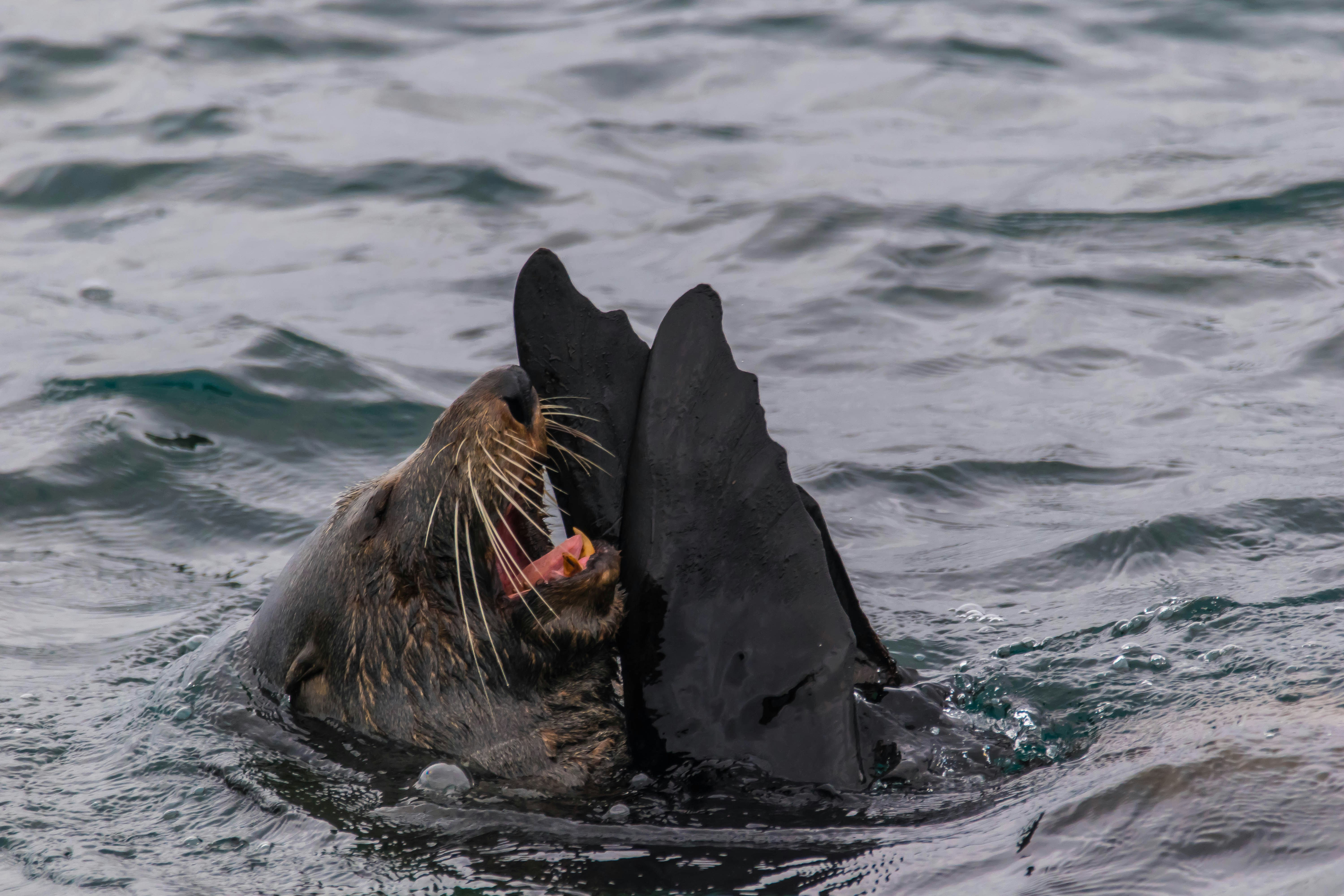 Free Unsplash photo from Mark Wright