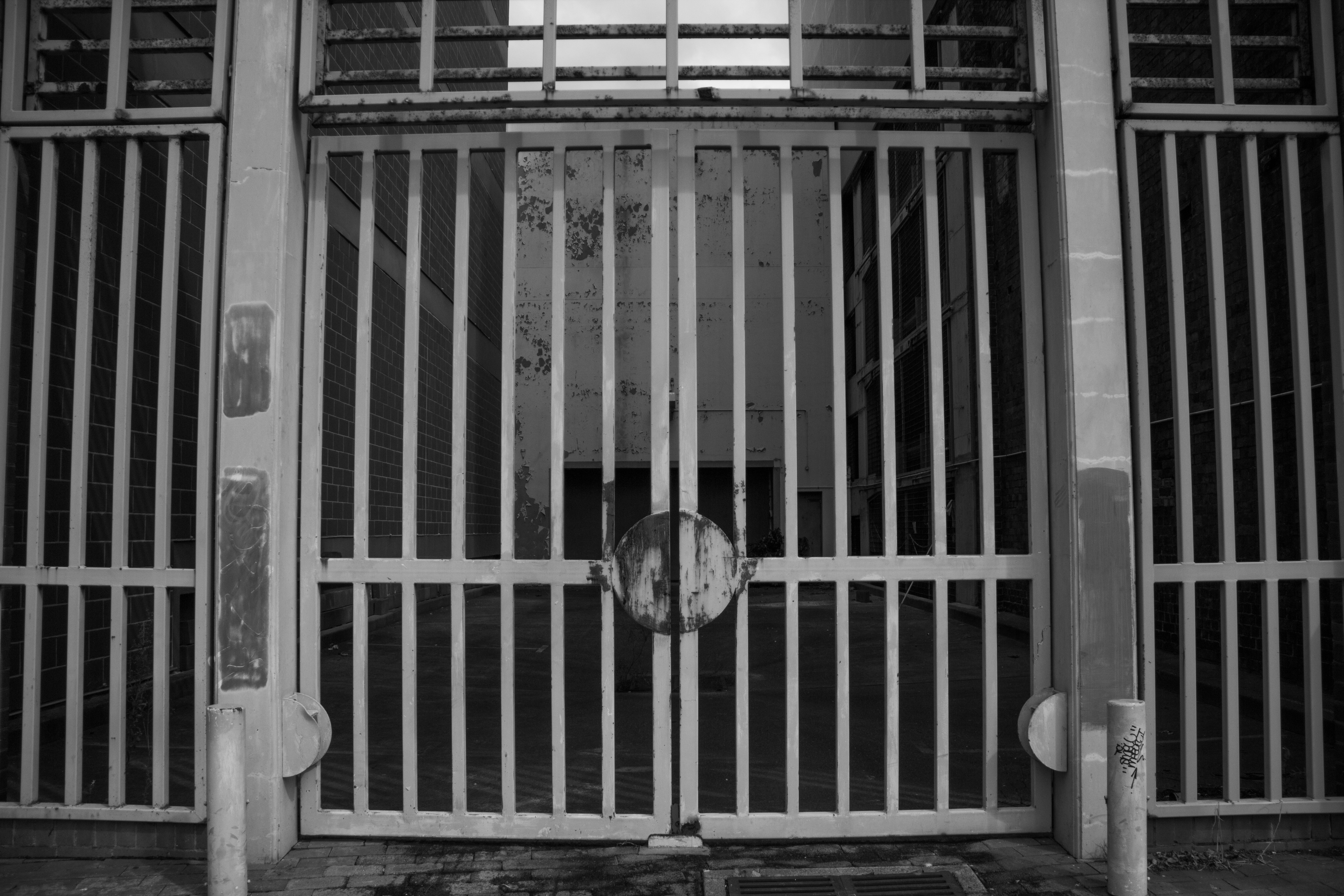 Free Unsplash photo from Dylan Collette