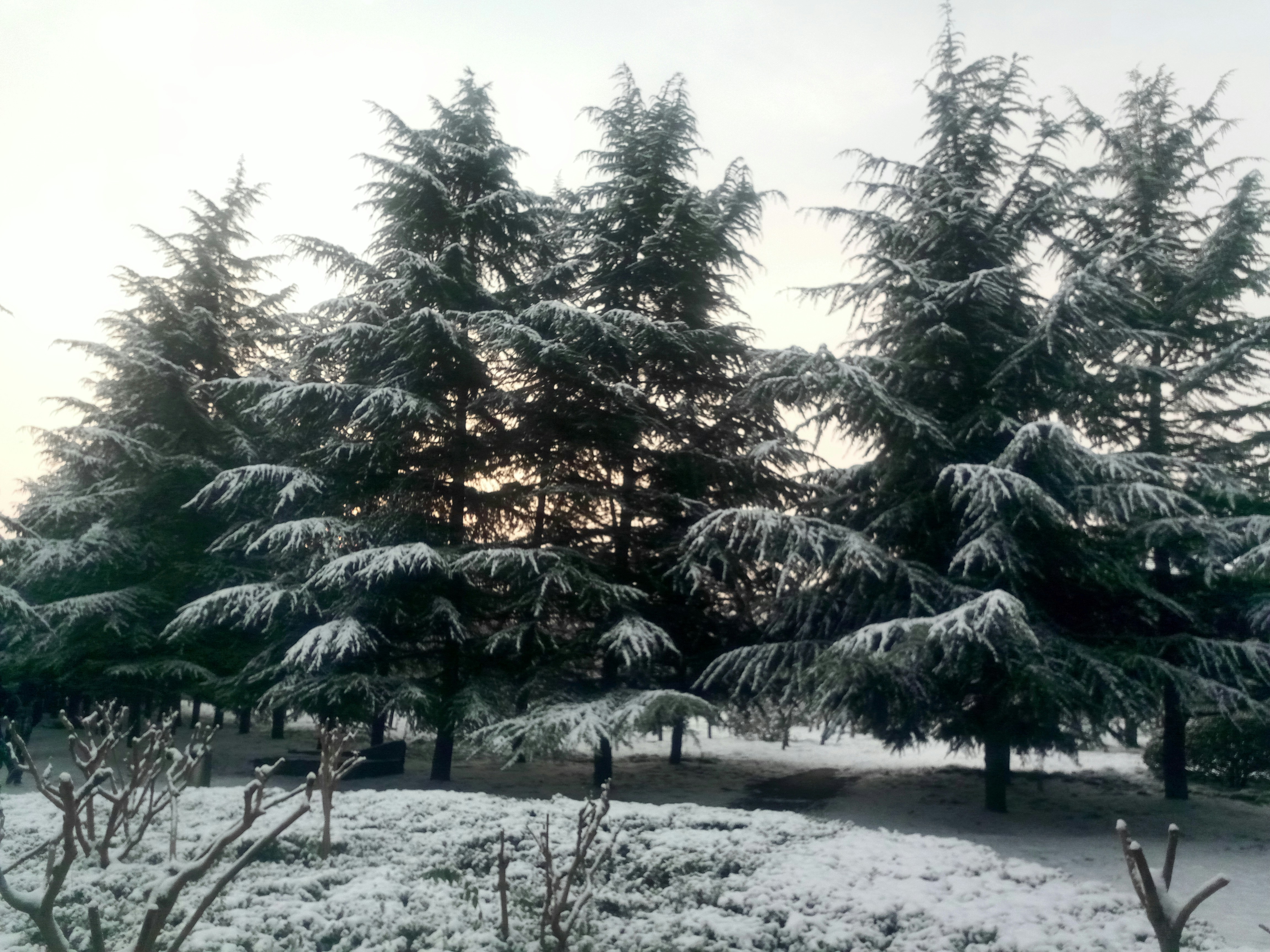 Free Unsplash photo from 应 华