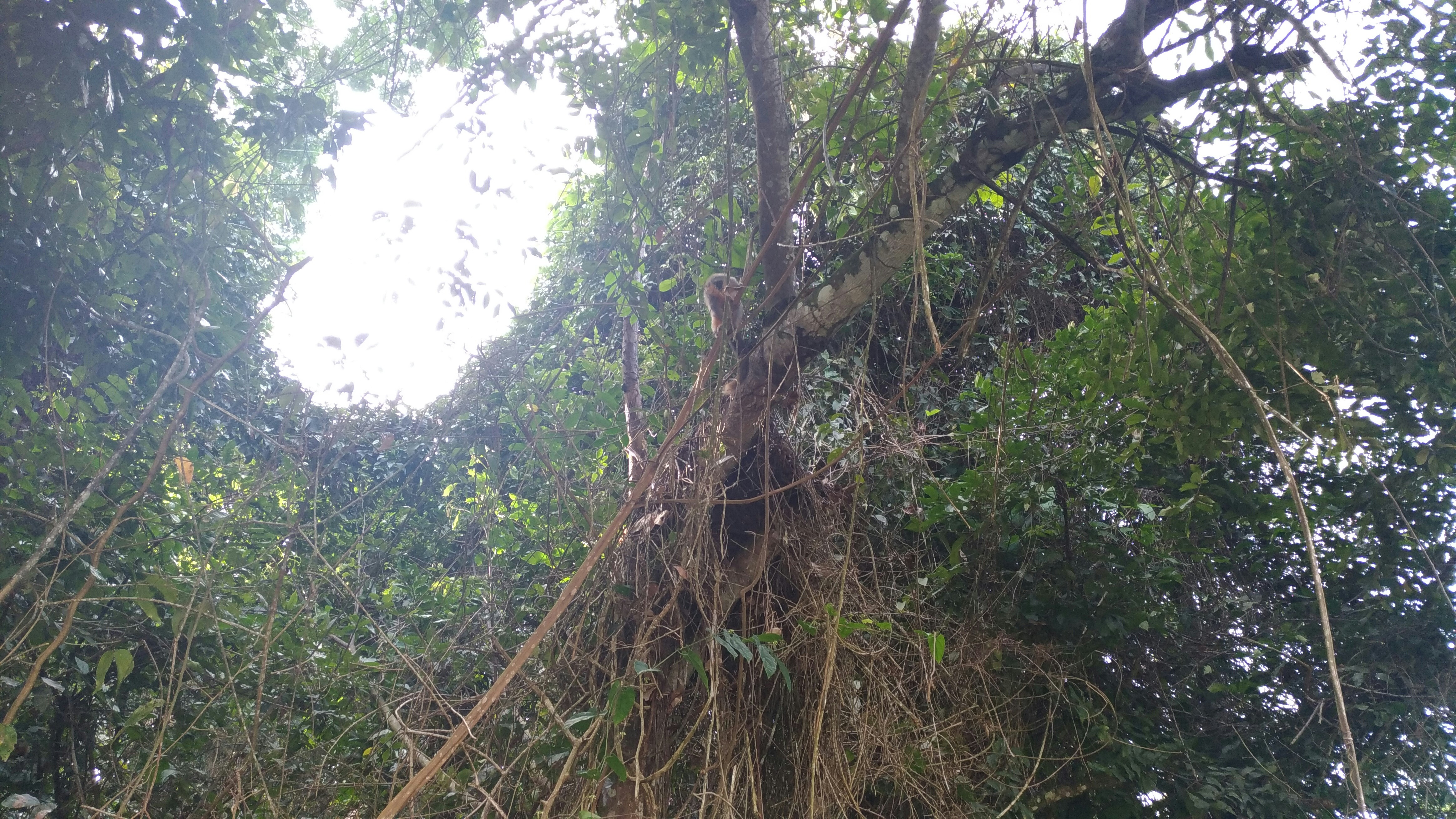 Free Unsplash photo from Danilo Lins