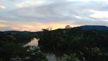 A serene river gently winding through a lush green forest at sunset