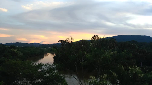 A serene river gently winding through a lush green forest at sunset