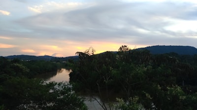 A serene river flowing through dense woods at sunset, showcasing nature's calm.