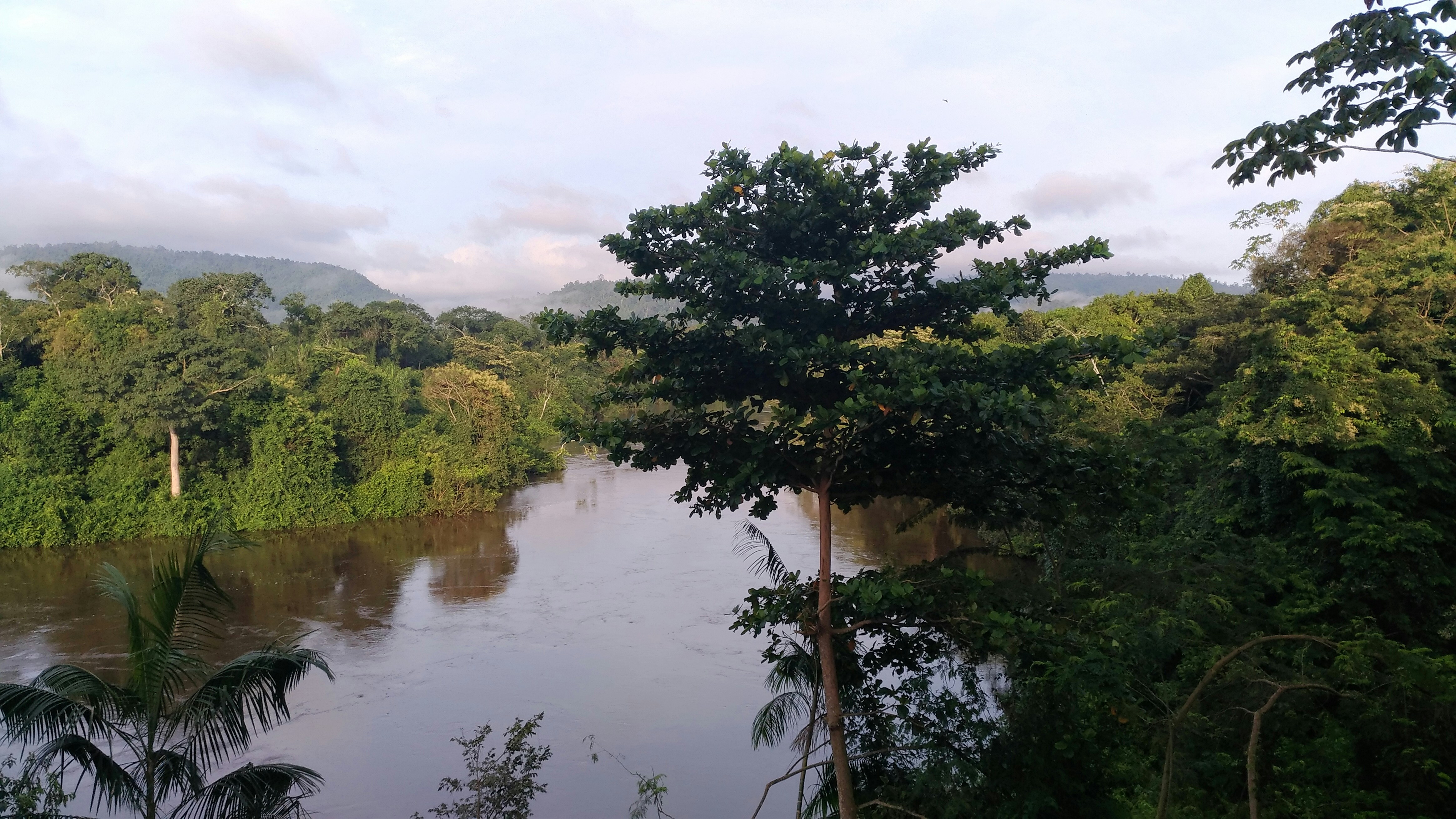 Free Unsplash photo from Danilo Lins