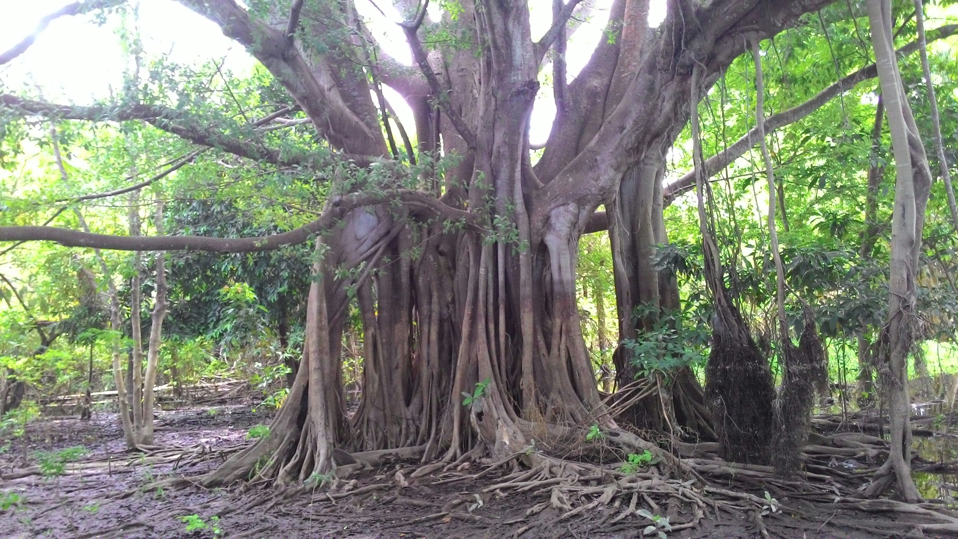 Free Unsplash photo from Danilo Lins