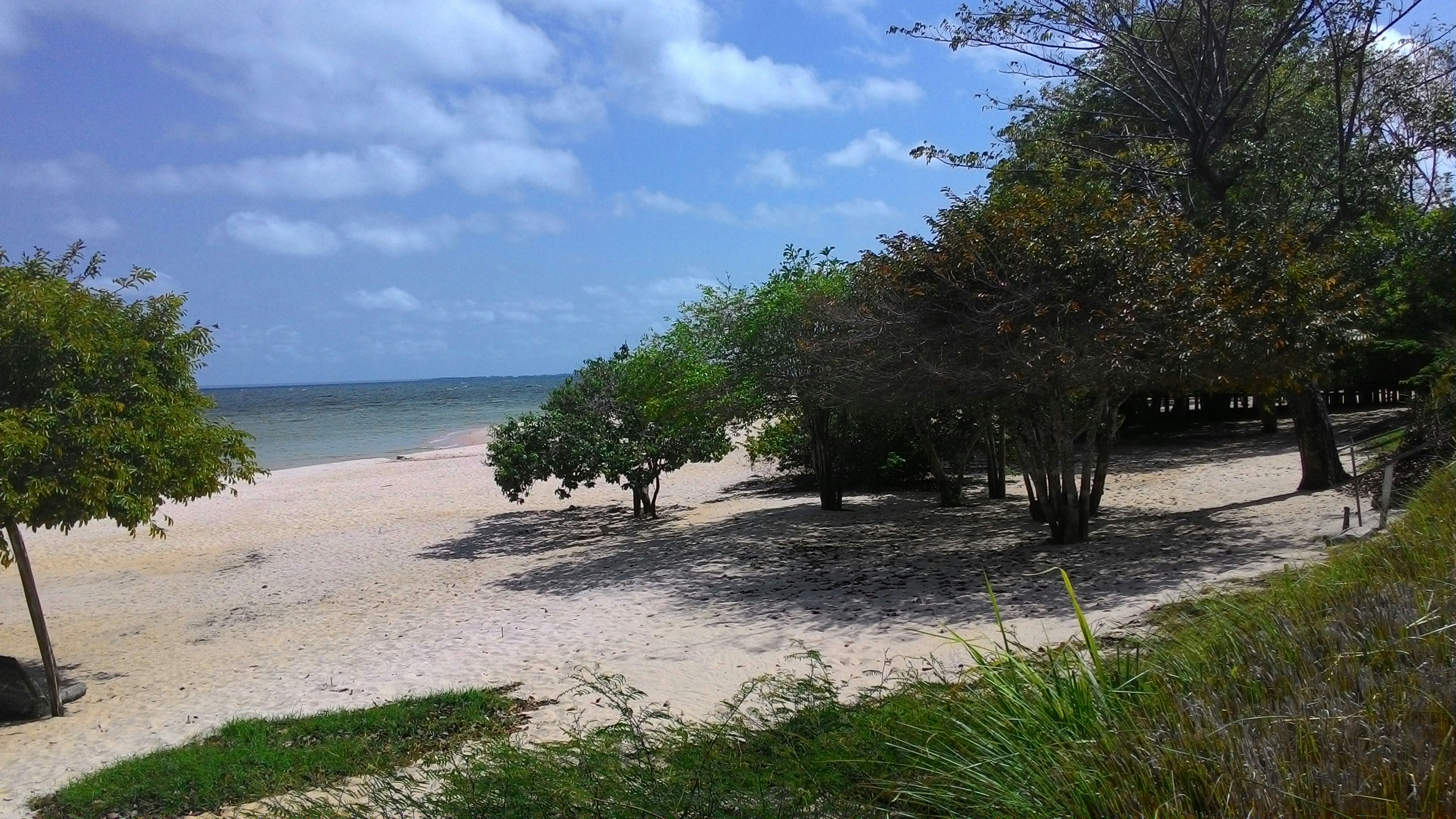 Free Unsplash photo from Danilo Lins