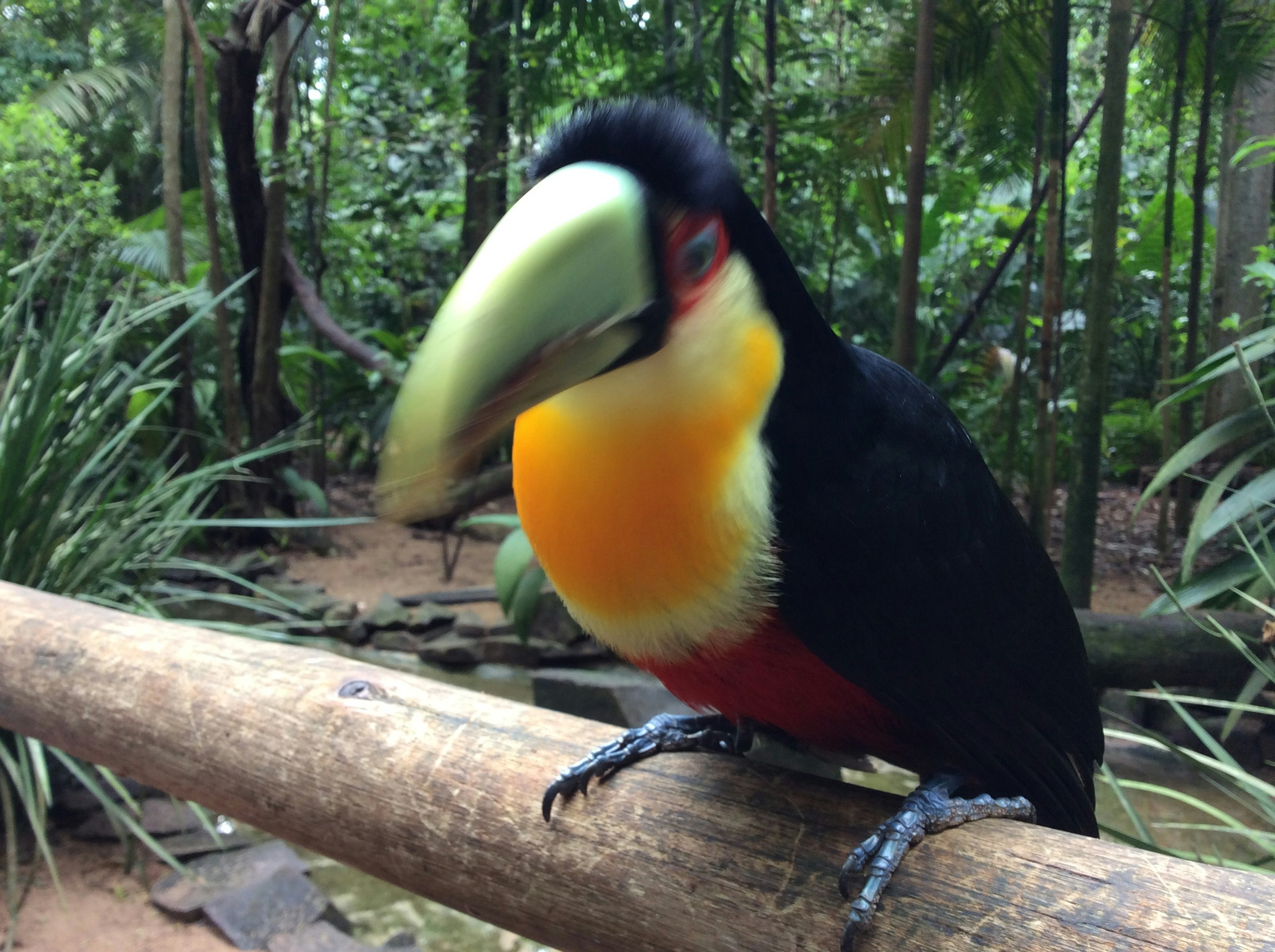 Free Unsplash photo from Danilo Lins