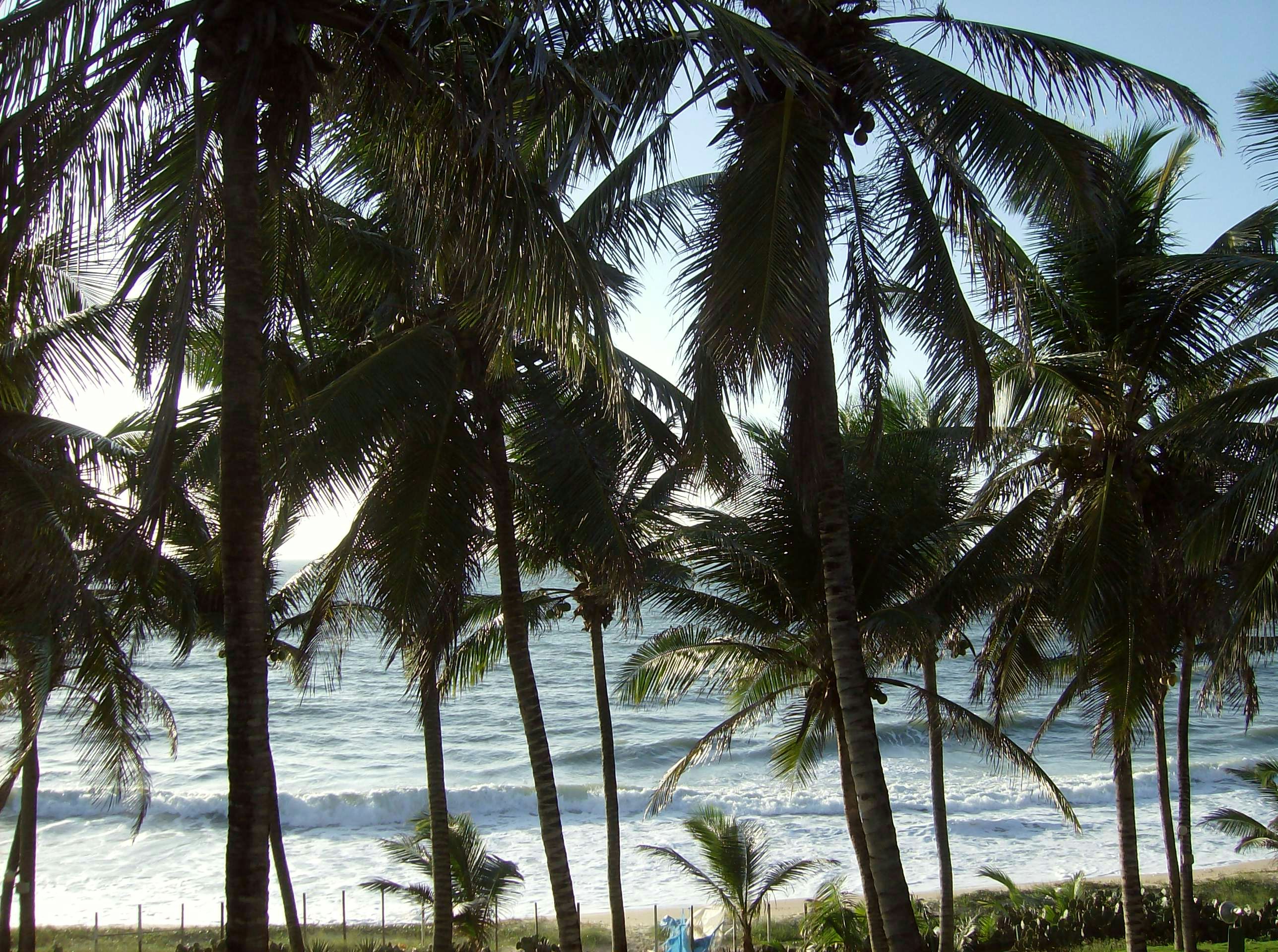 Free Unsplash photo from Danilo Lins