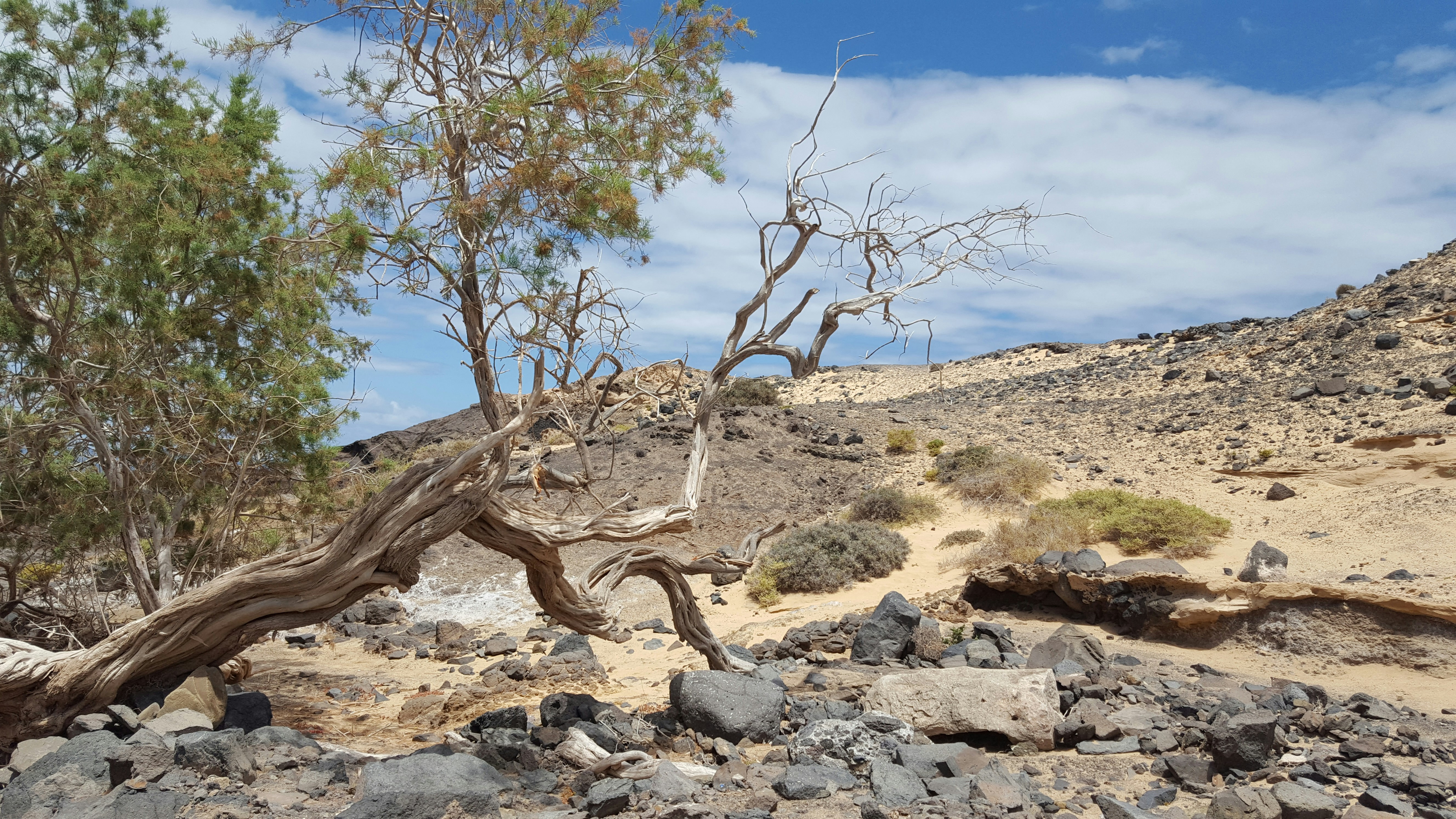 Free Unsplash photo from NiCe -