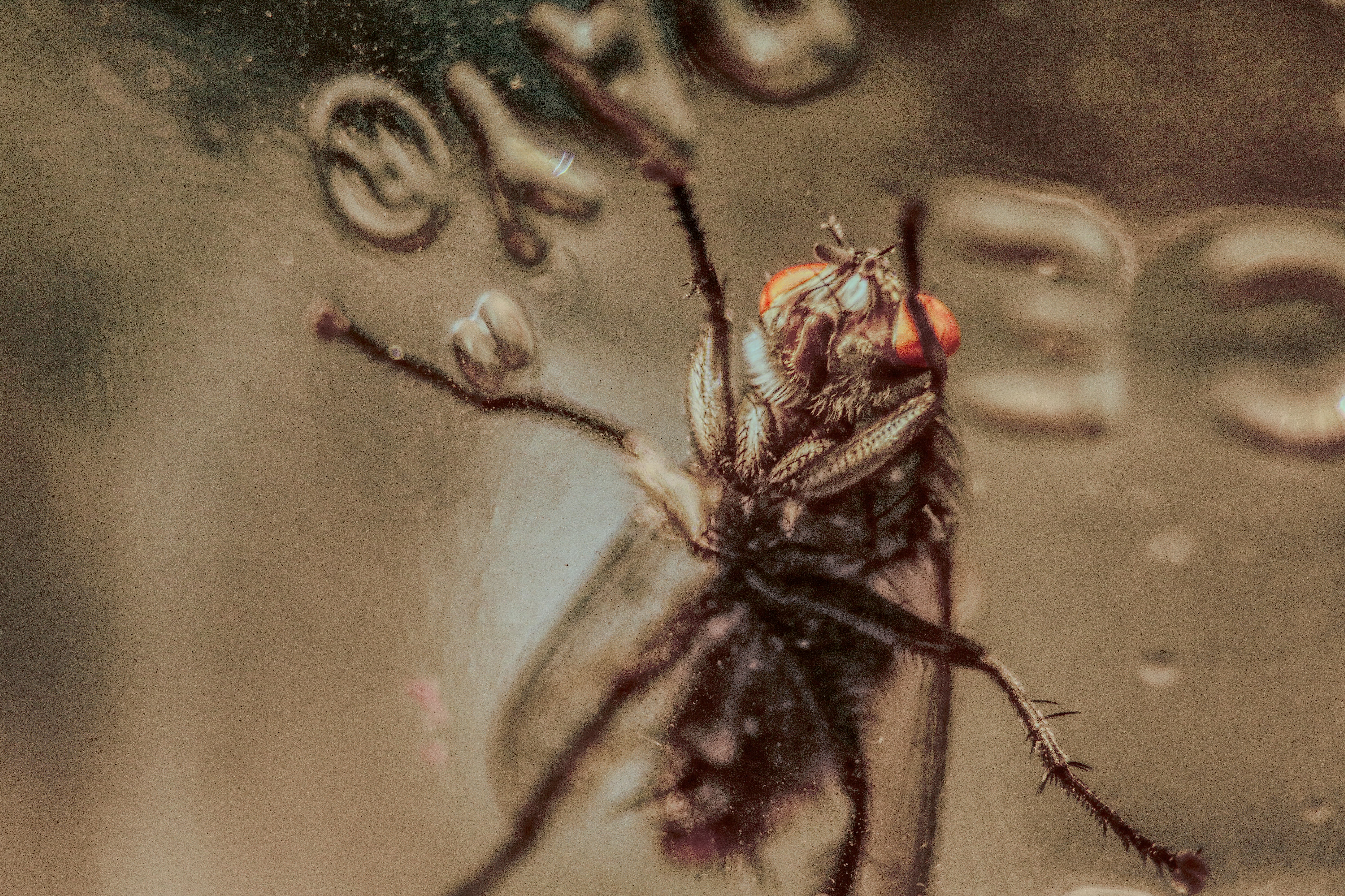 Free Unsplash photo from Andrew Walton