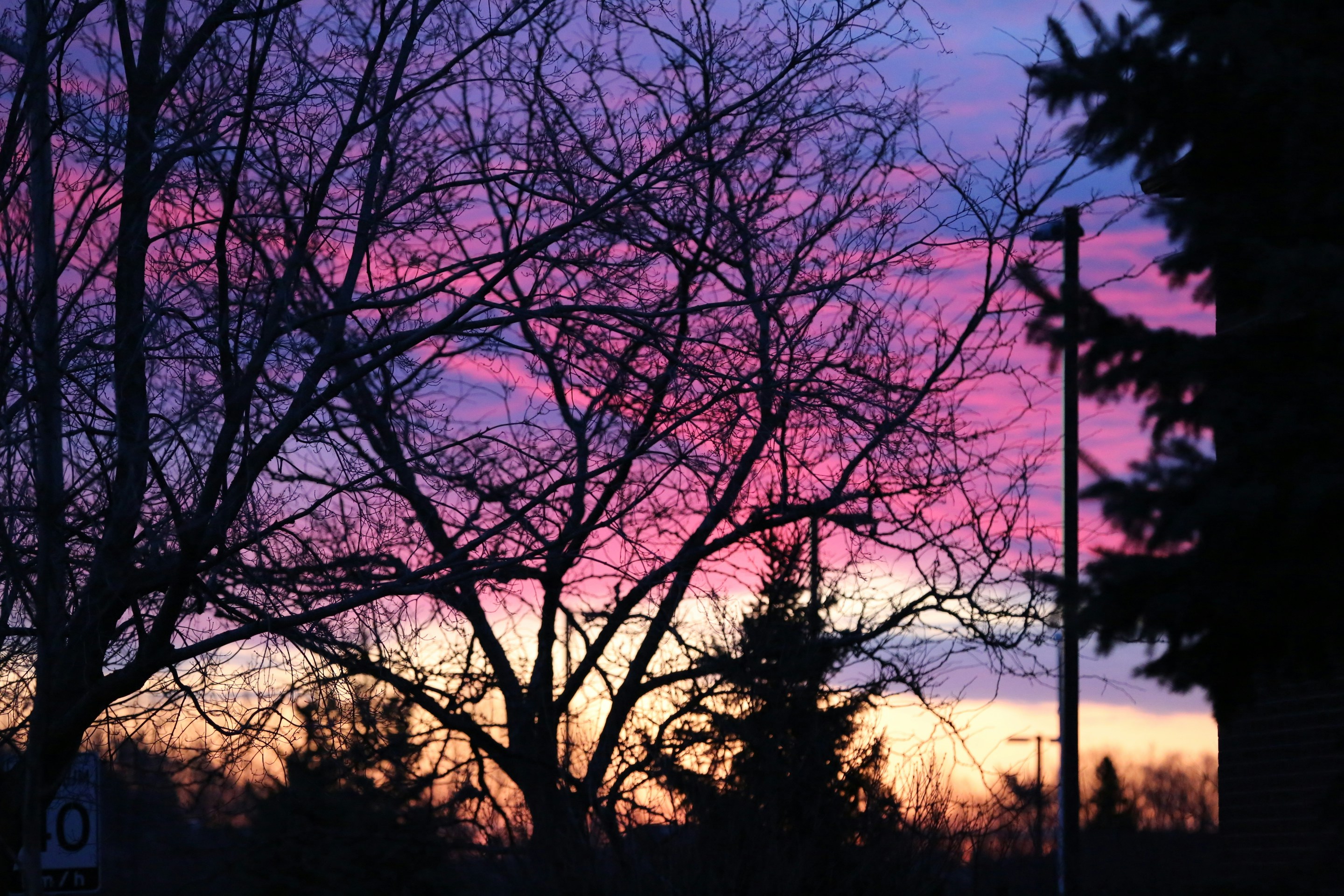 Free Unsplash photo from Jenny Levi