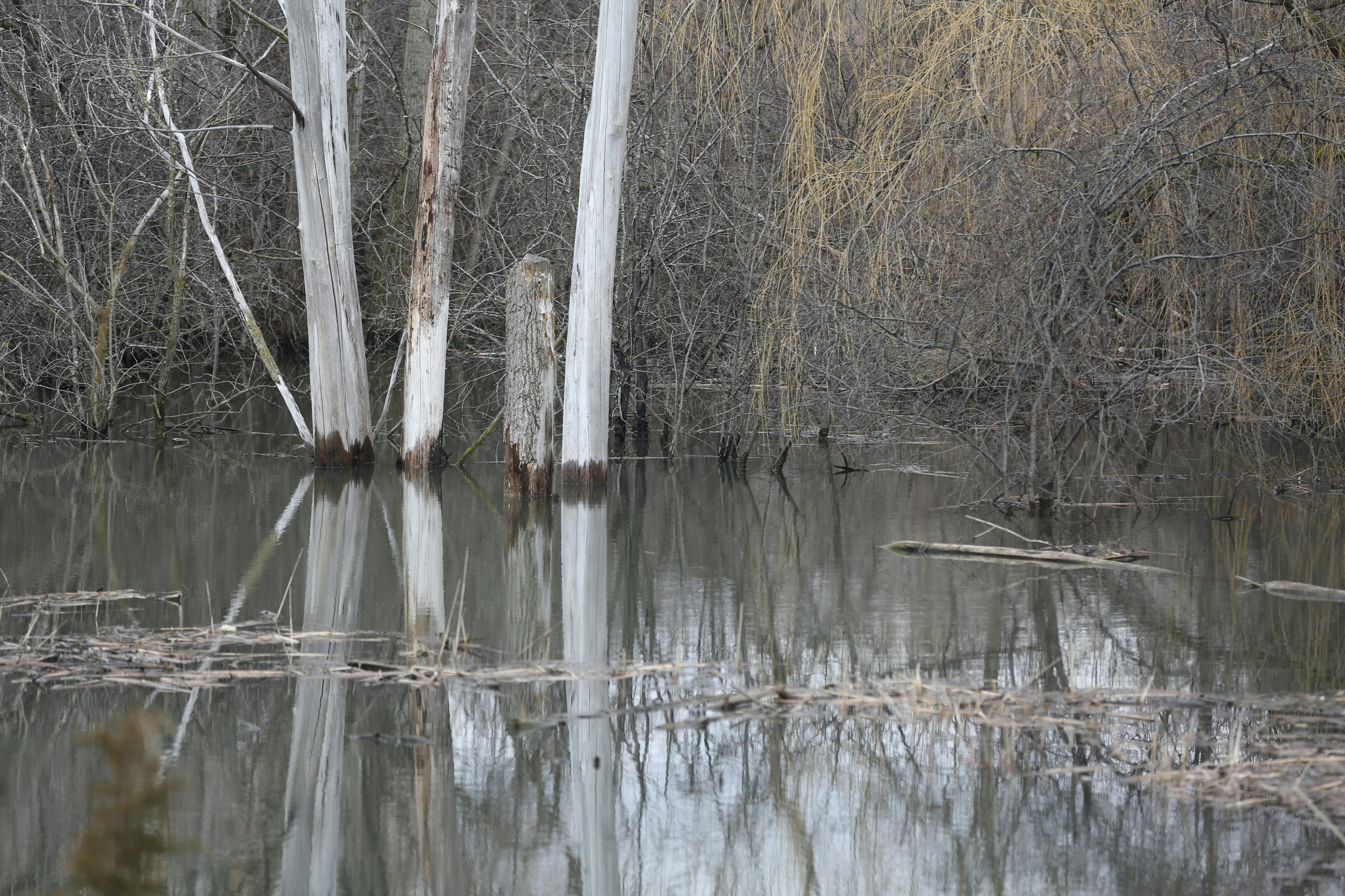 Free Unsplash photo from Jenny Levi