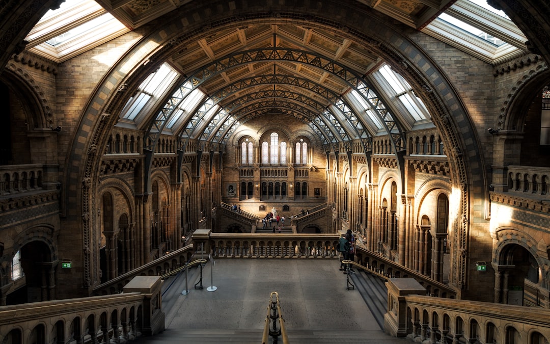brown cathedral during daytimer, Natural History Museum London