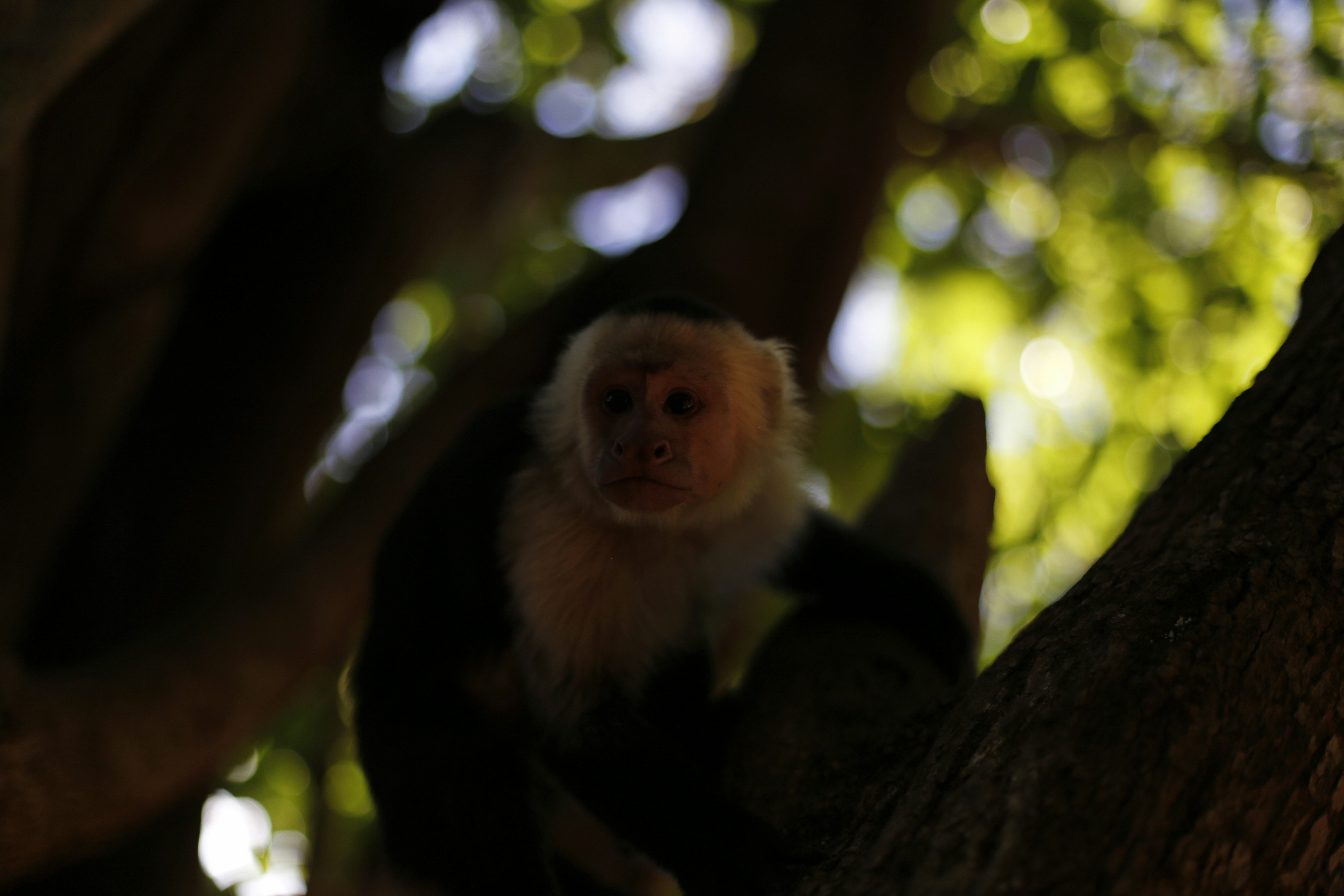 Free Unsplash photo from Trevor Magness