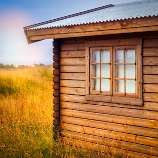 A serene wooden cabin surrounded by grapevines under a clear blue sky.
