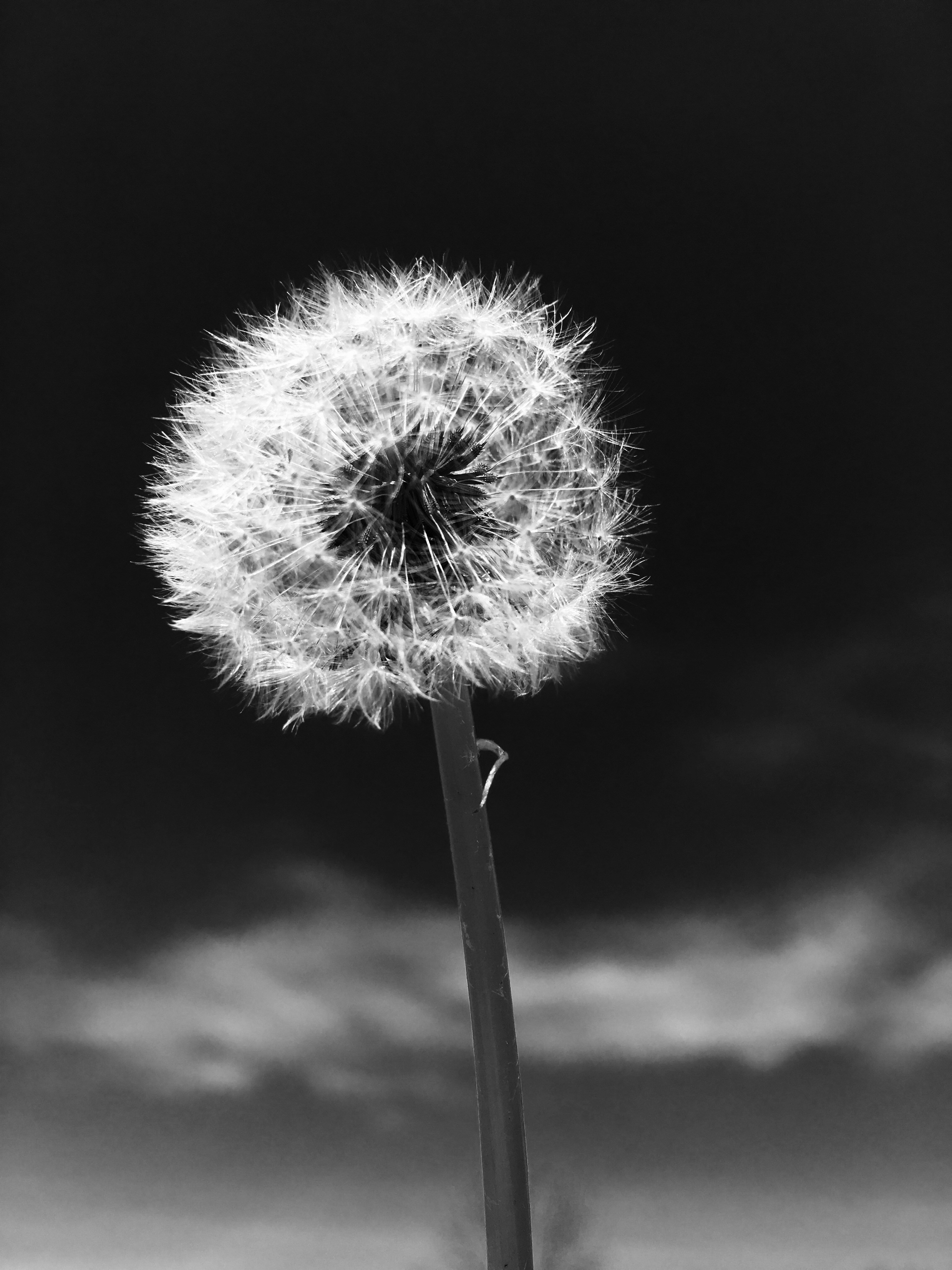 Free Unsplash photo from Rosalind  Wilson