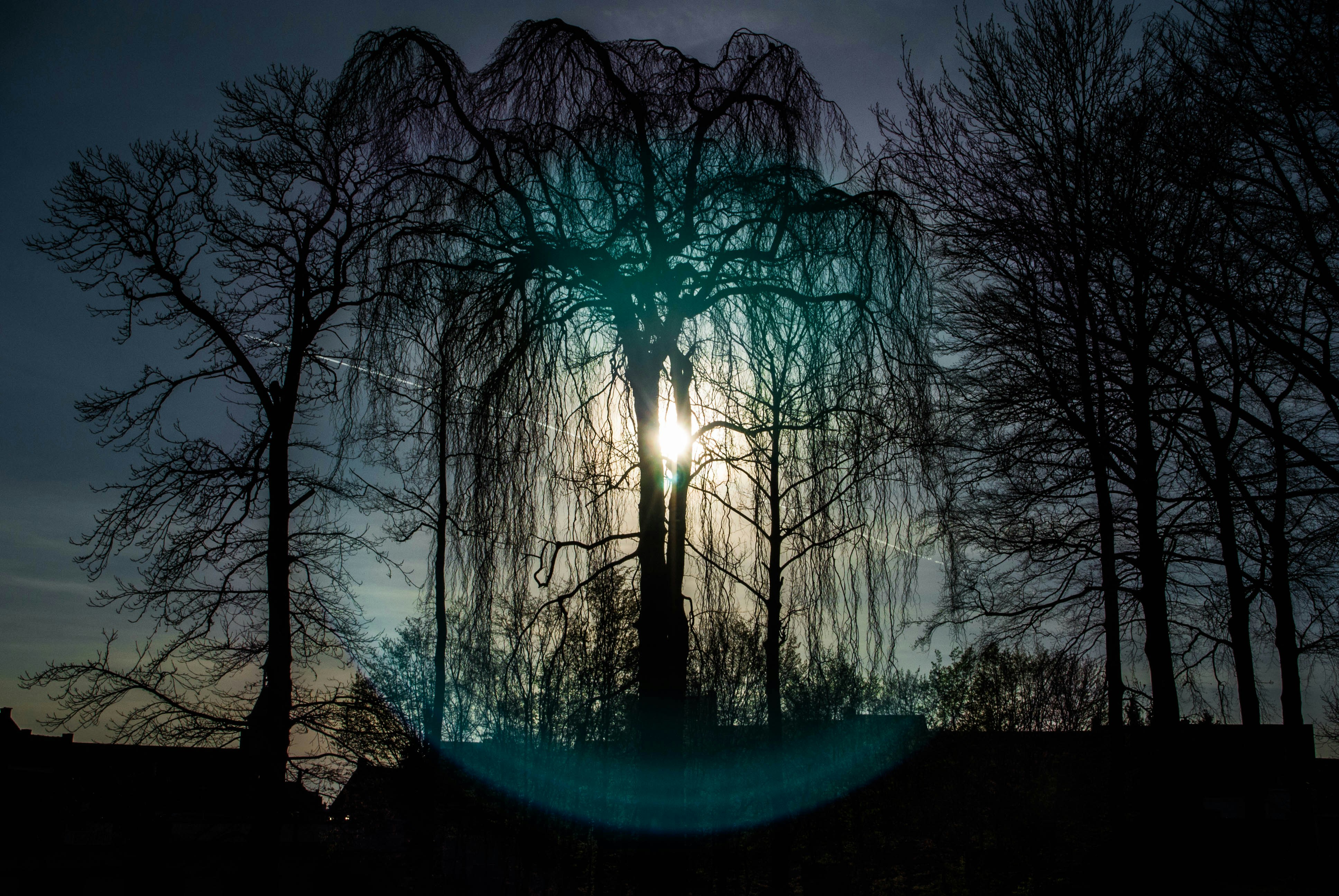 Free Unsplash photo from Wout Vanacker